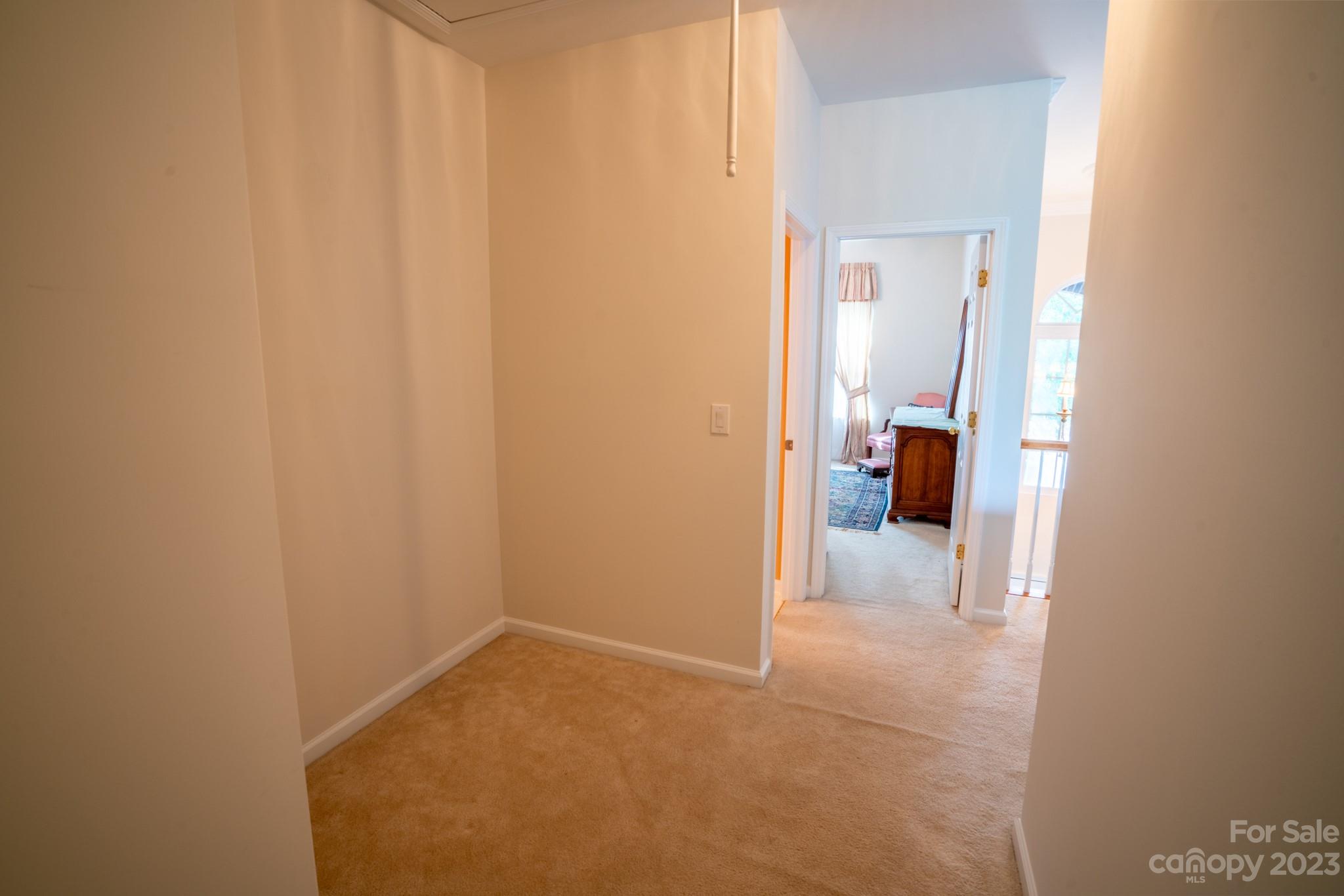 1234 Morningside Meadow Lane Property Photo 29