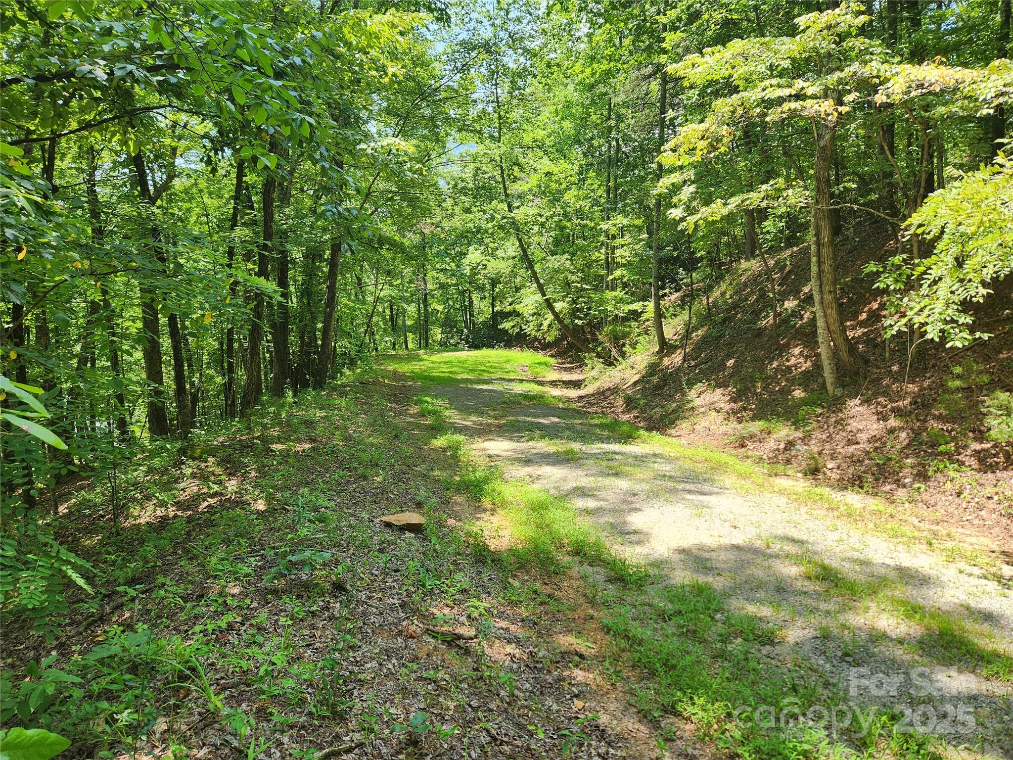 Lot 81, 82, & 88 Walnut Lane Property Photo 3