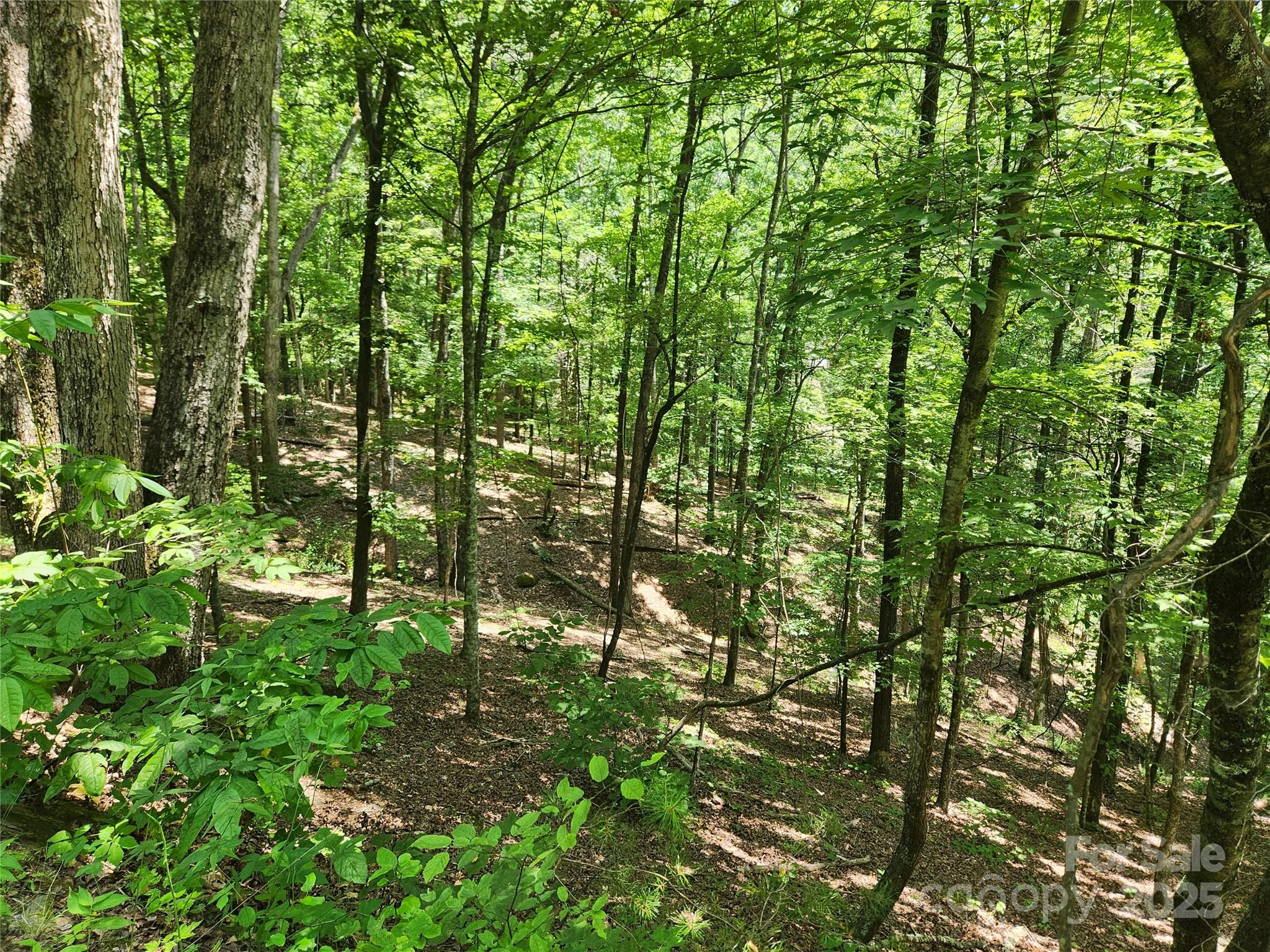 Lot 81, 82, & 88 Walnut Lane Property Photo 5