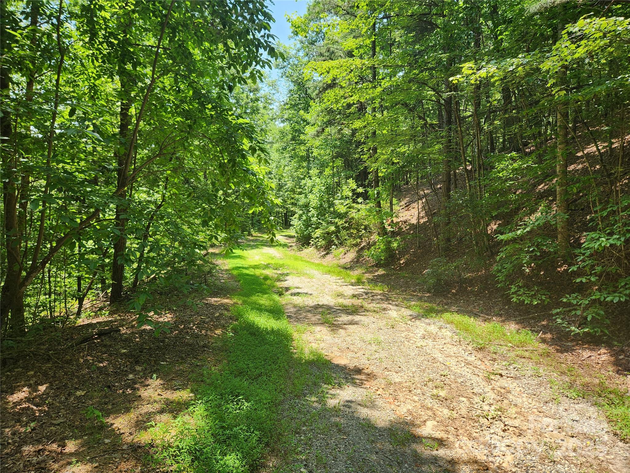 Lot 81, 82, & 88 Walnut Lane Property Photo 7