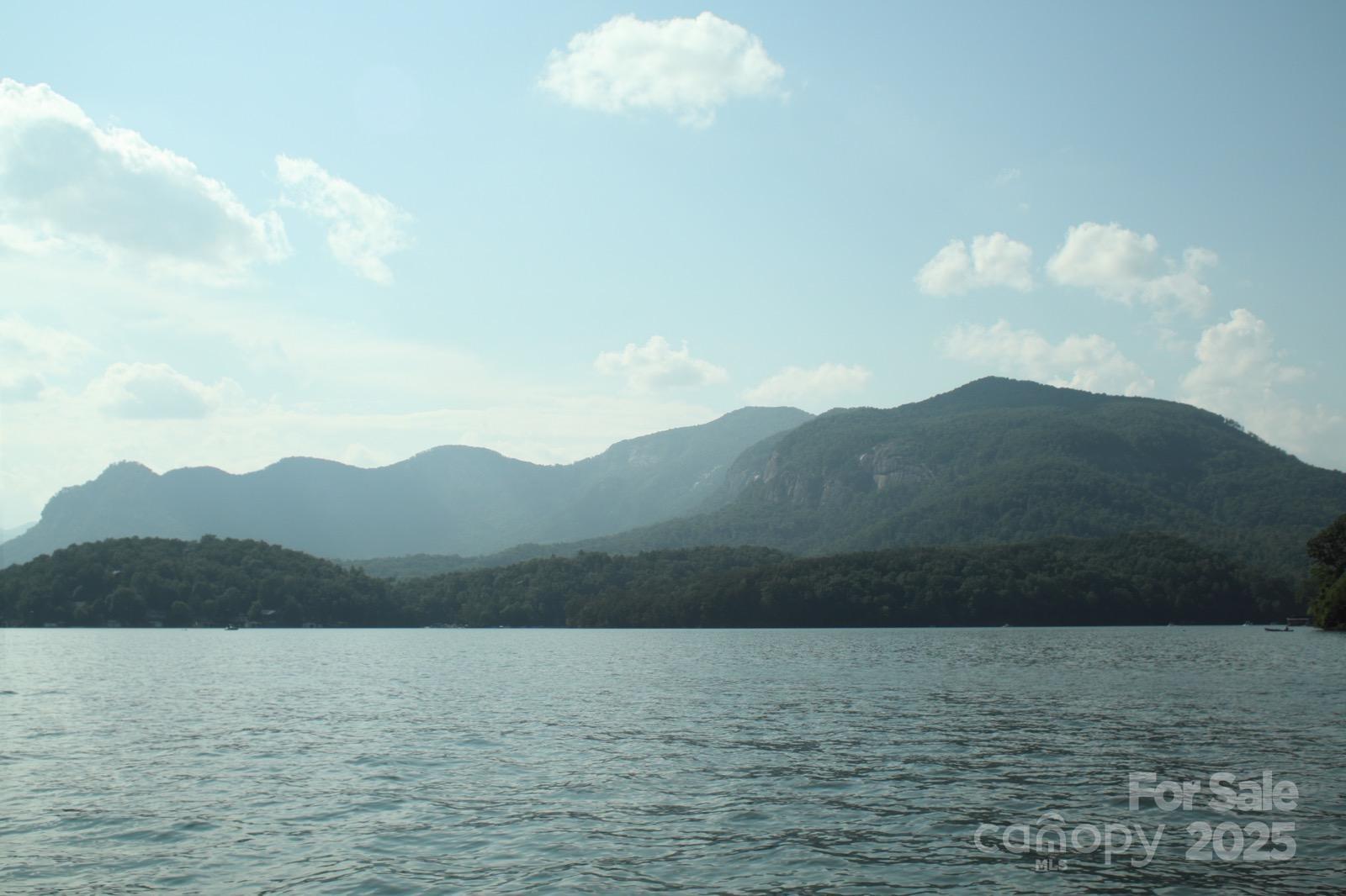 Lot 81, 82, & 88 Walnut Lane Property Photo 9