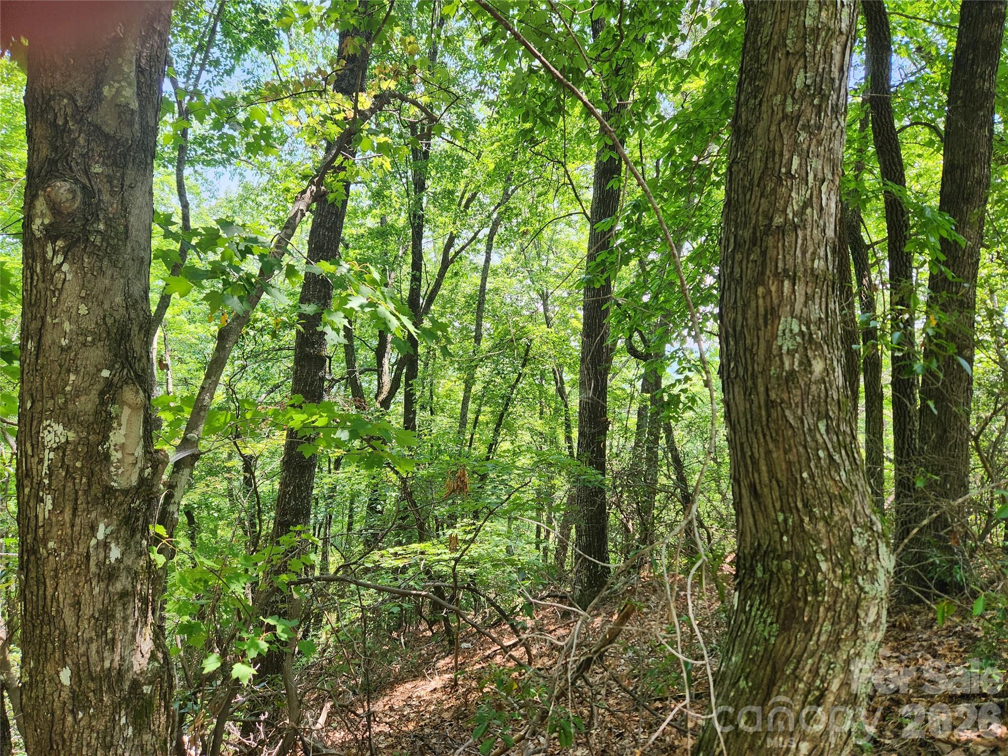 Lot 117, 118, & 132 Summit Court Property Photo 1