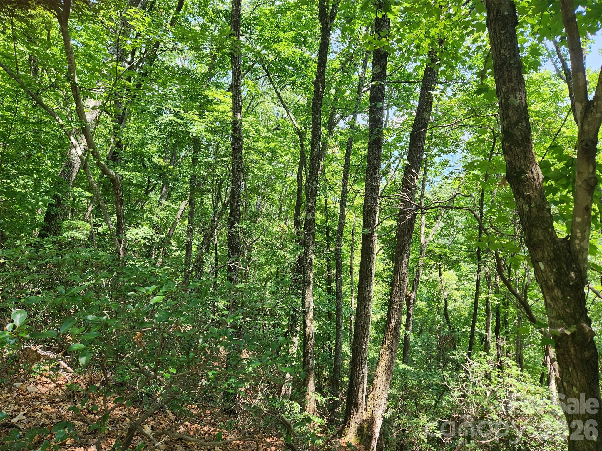 Lot 117, 118, & 132 Summit Court Property Photo 2