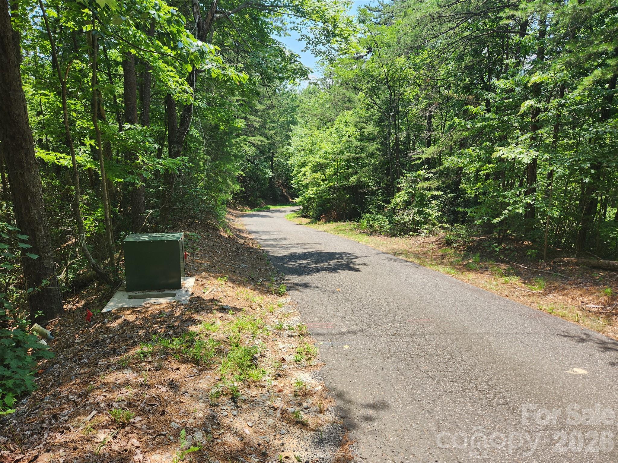 Lot 117, 118, & 132 Summit Court Property Photo 4