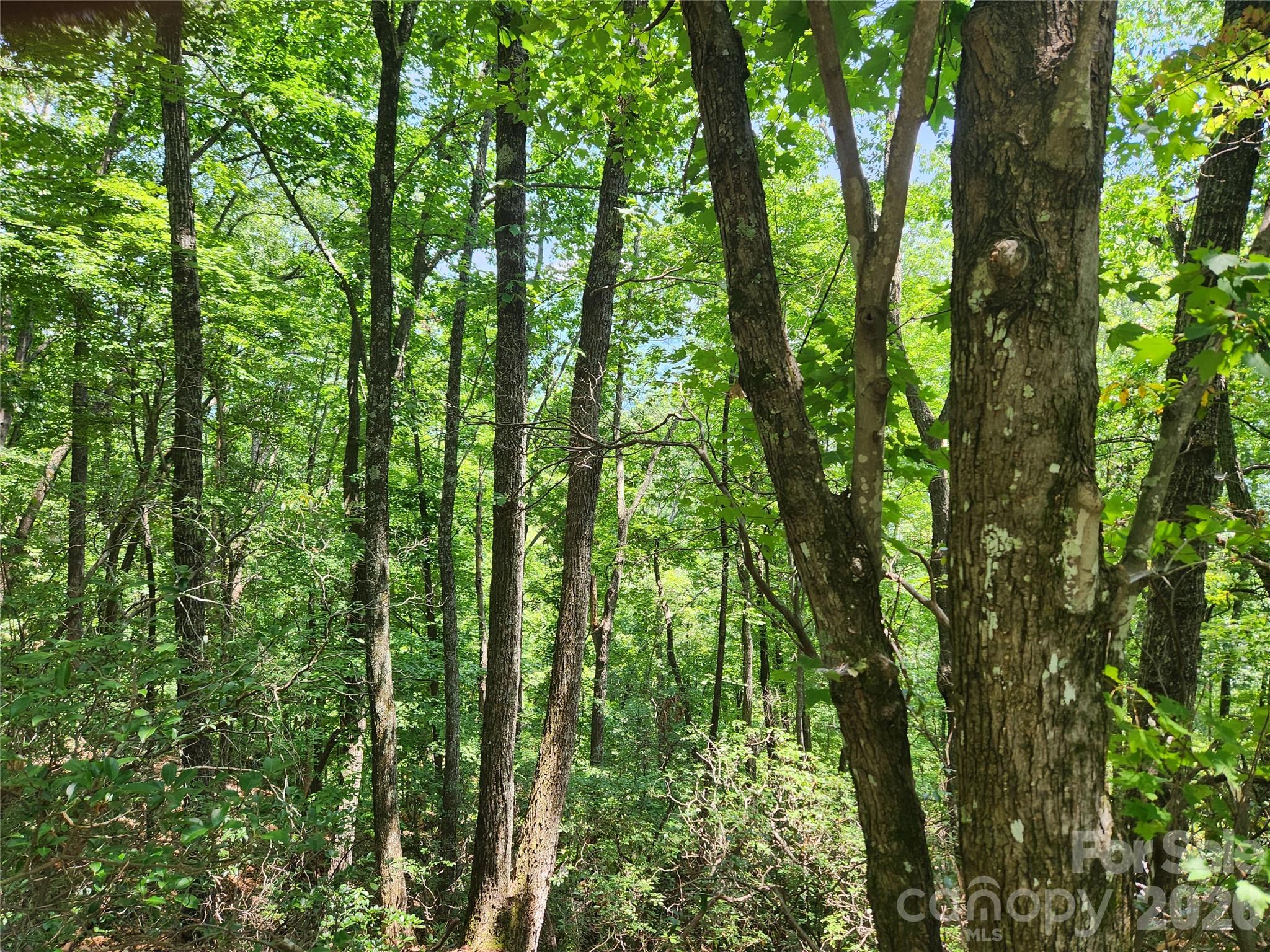 Lot 117, 118, & 132 Summit Court Property Photo 5