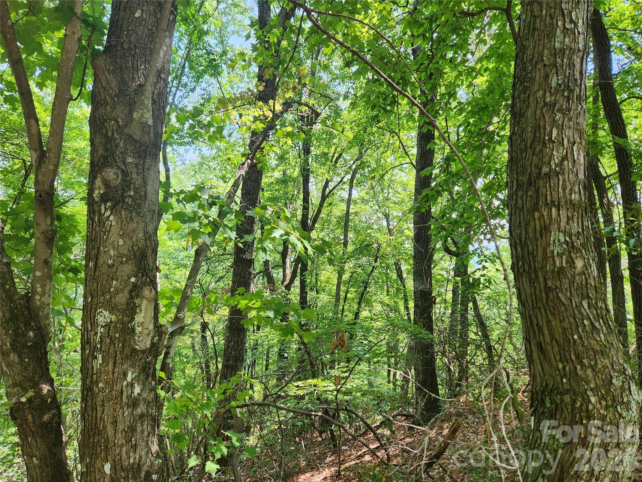 Lot 117, 118, & 132 Summit Court Property Photo 6