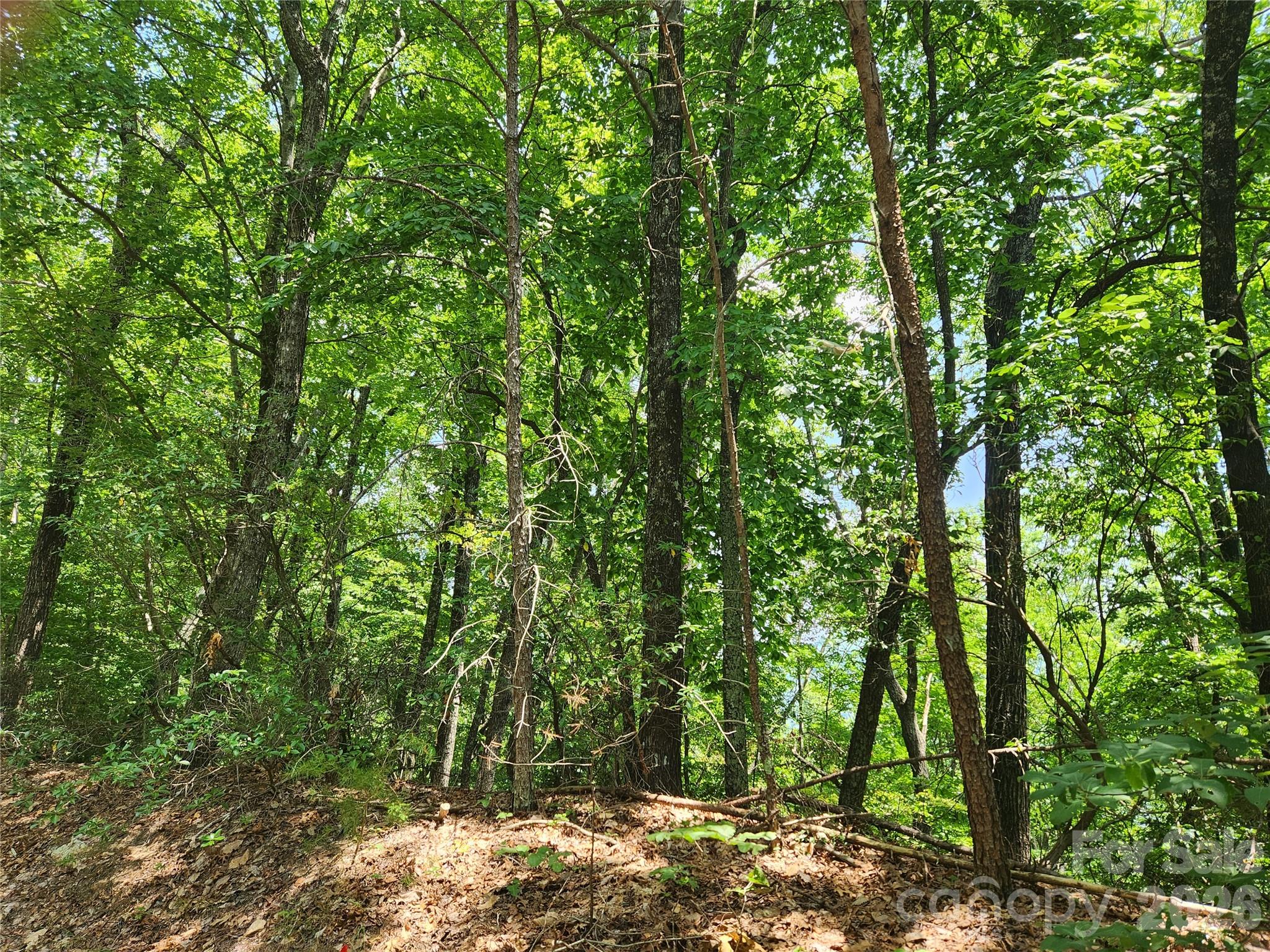 Lot 117, 118, & 132 Summit Court Property Photo 7