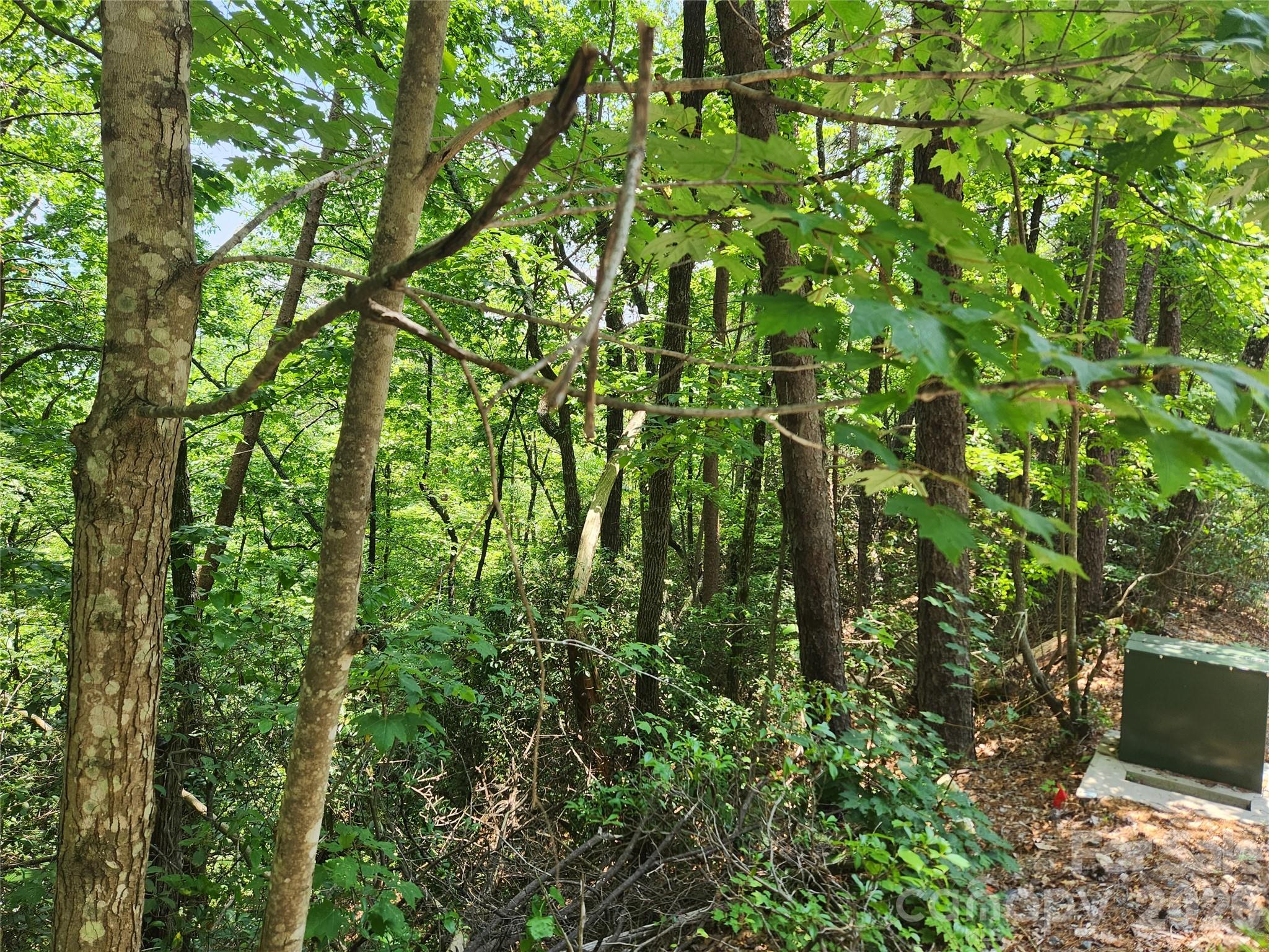 Lot 117, 118, & 132 Summit Court Property Photo 8