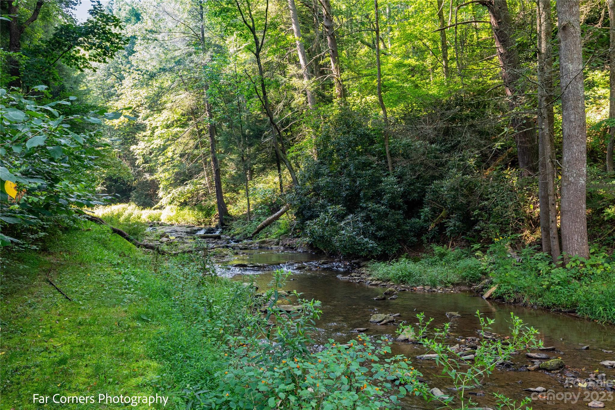 228 Chestnut Mountain Road Property Photo 4