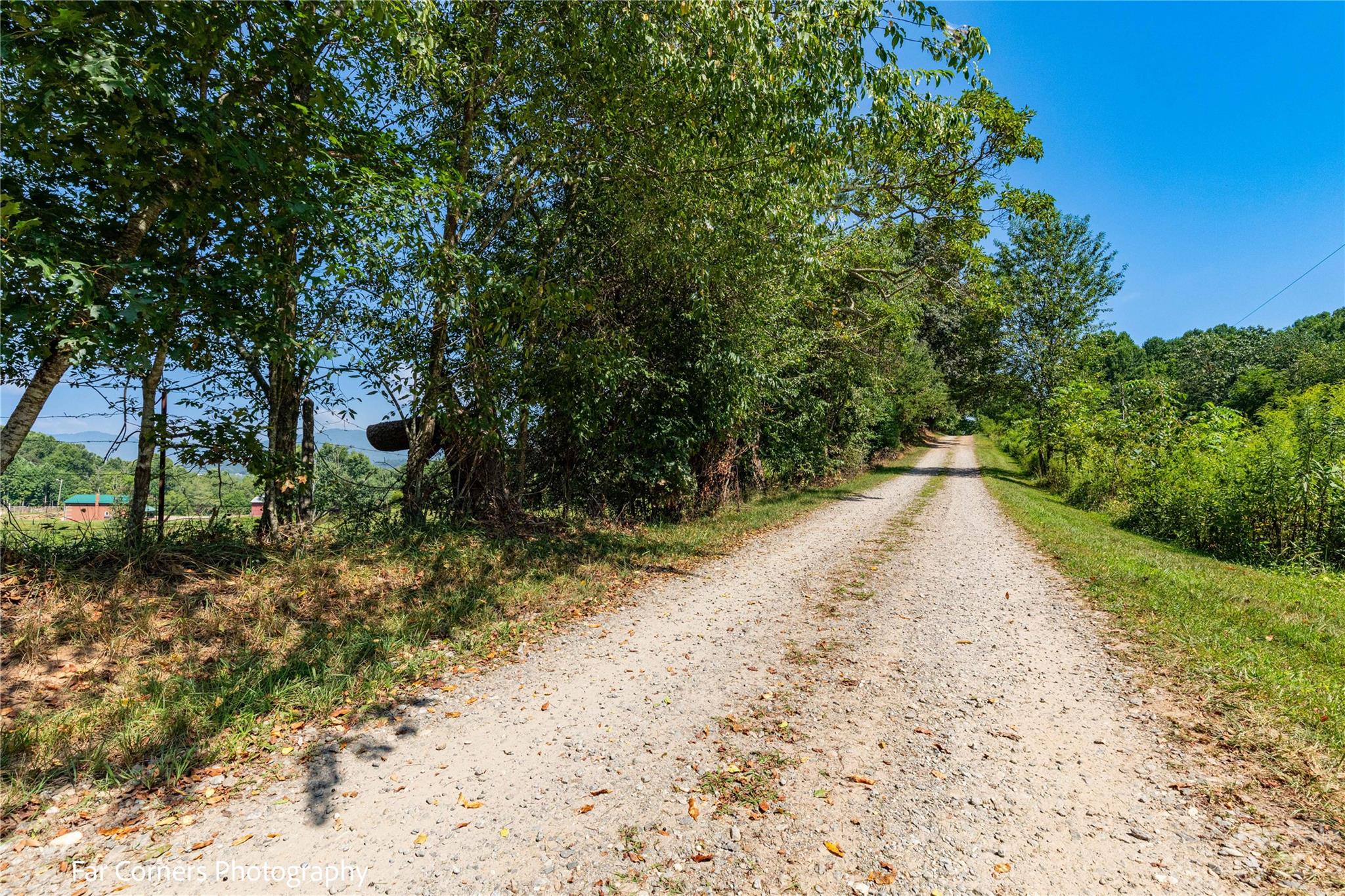 228 Chestnut Mountain Road Property Photo 21
