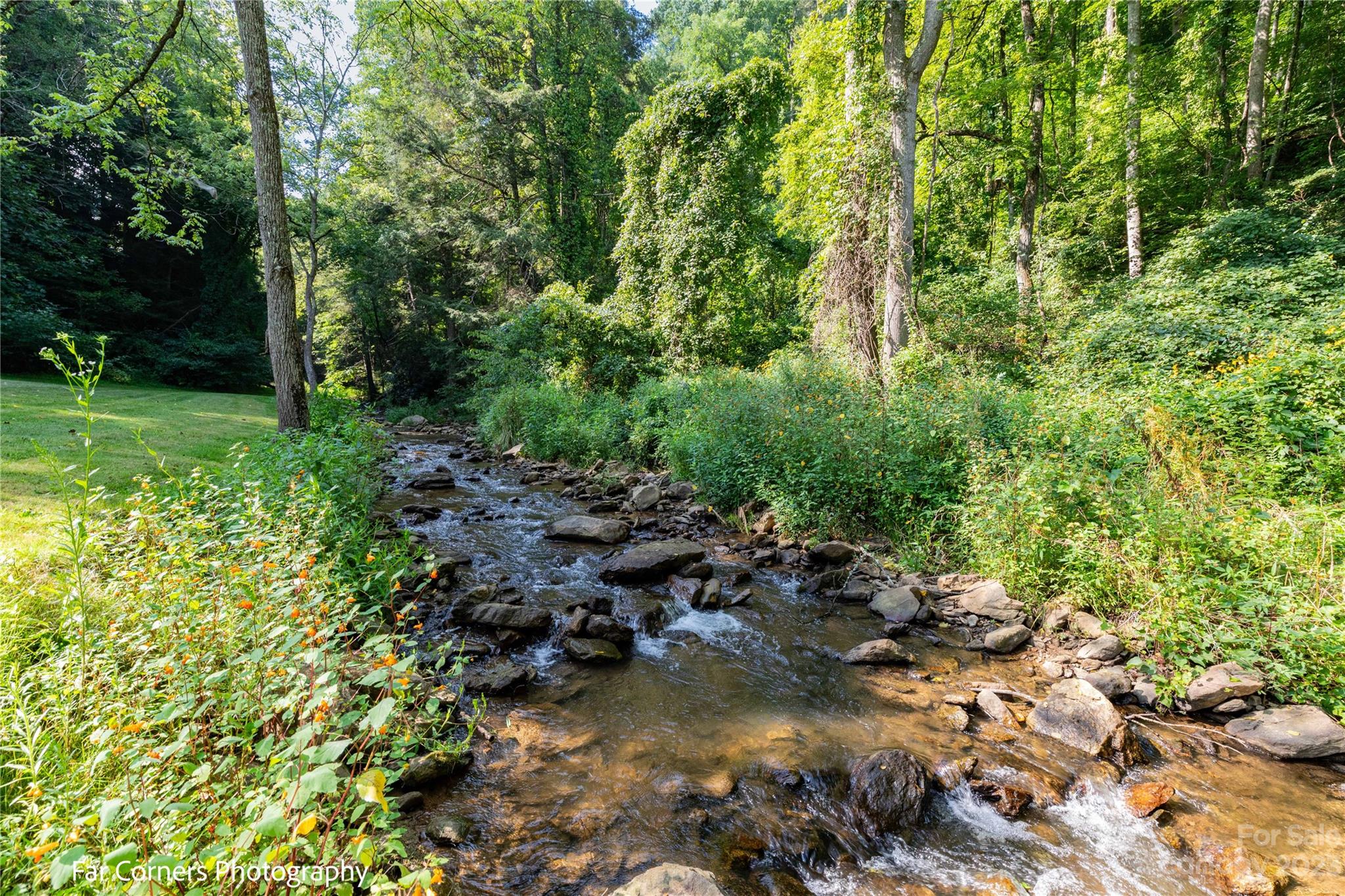 228 Chestnut Mountain Road Property Photo 42