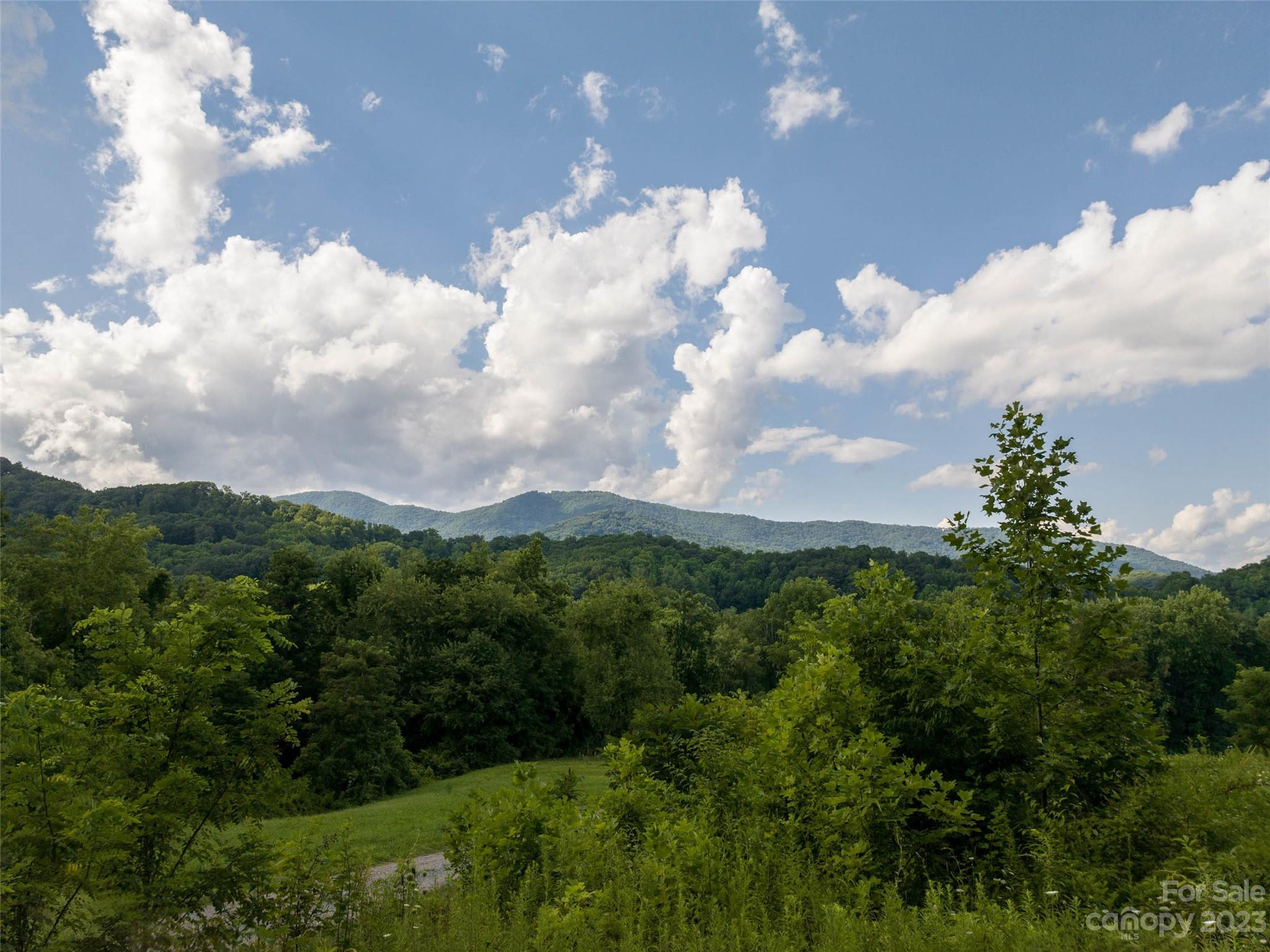 00 Skyland Drive Property Photo 2