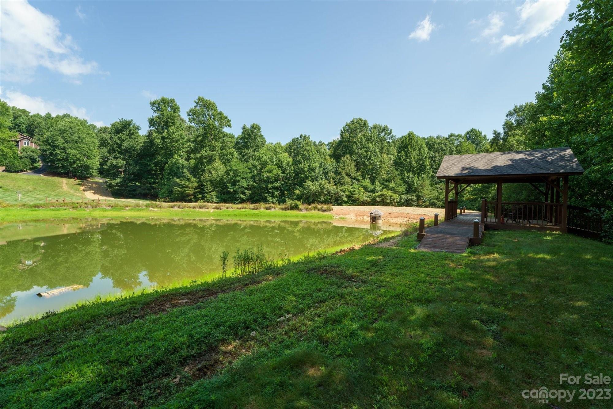 317 Boundary Tree Pass 14 Property Photo 6