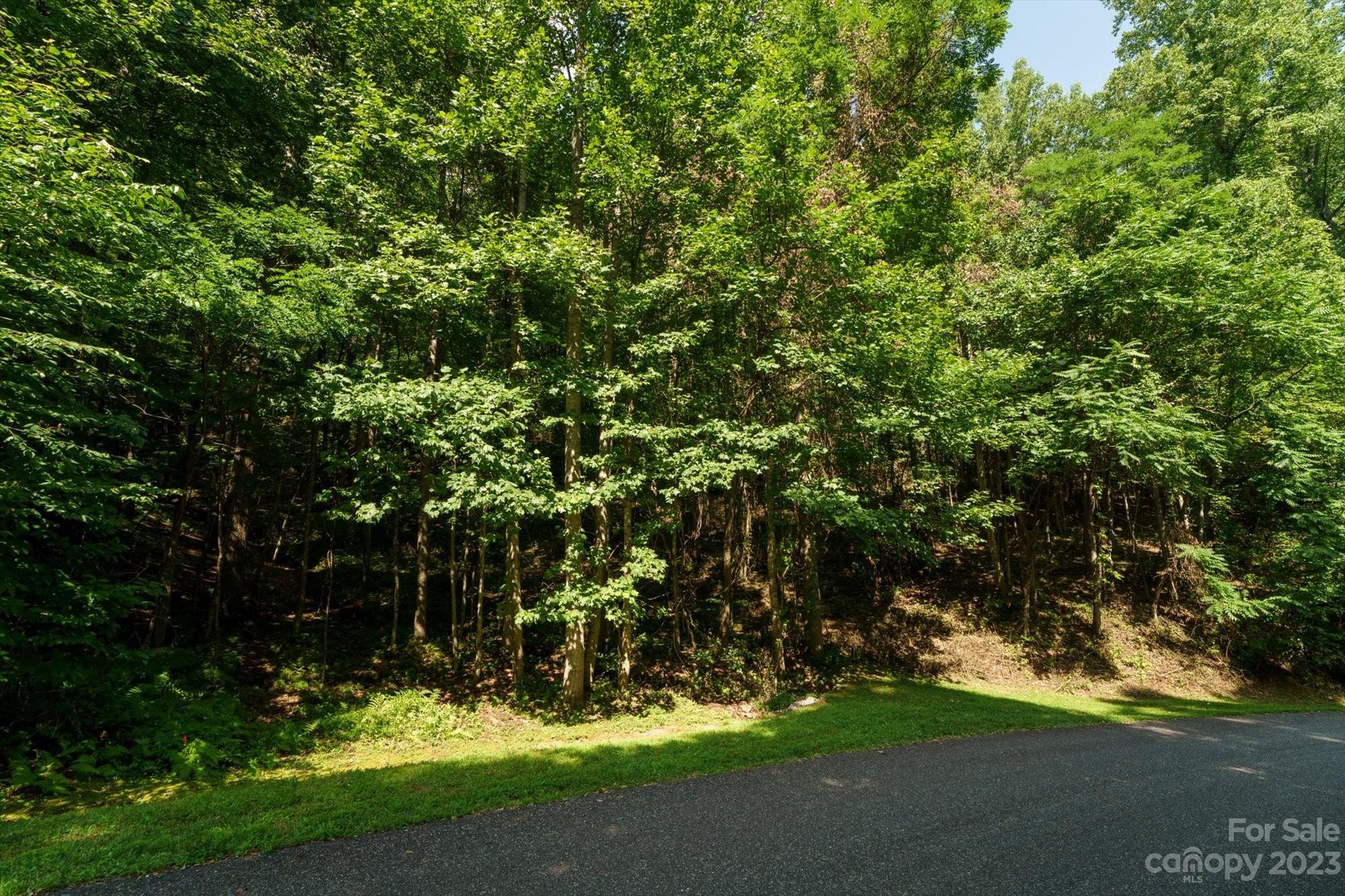 317 Boundary Tree Pass 14 Property Photo 9