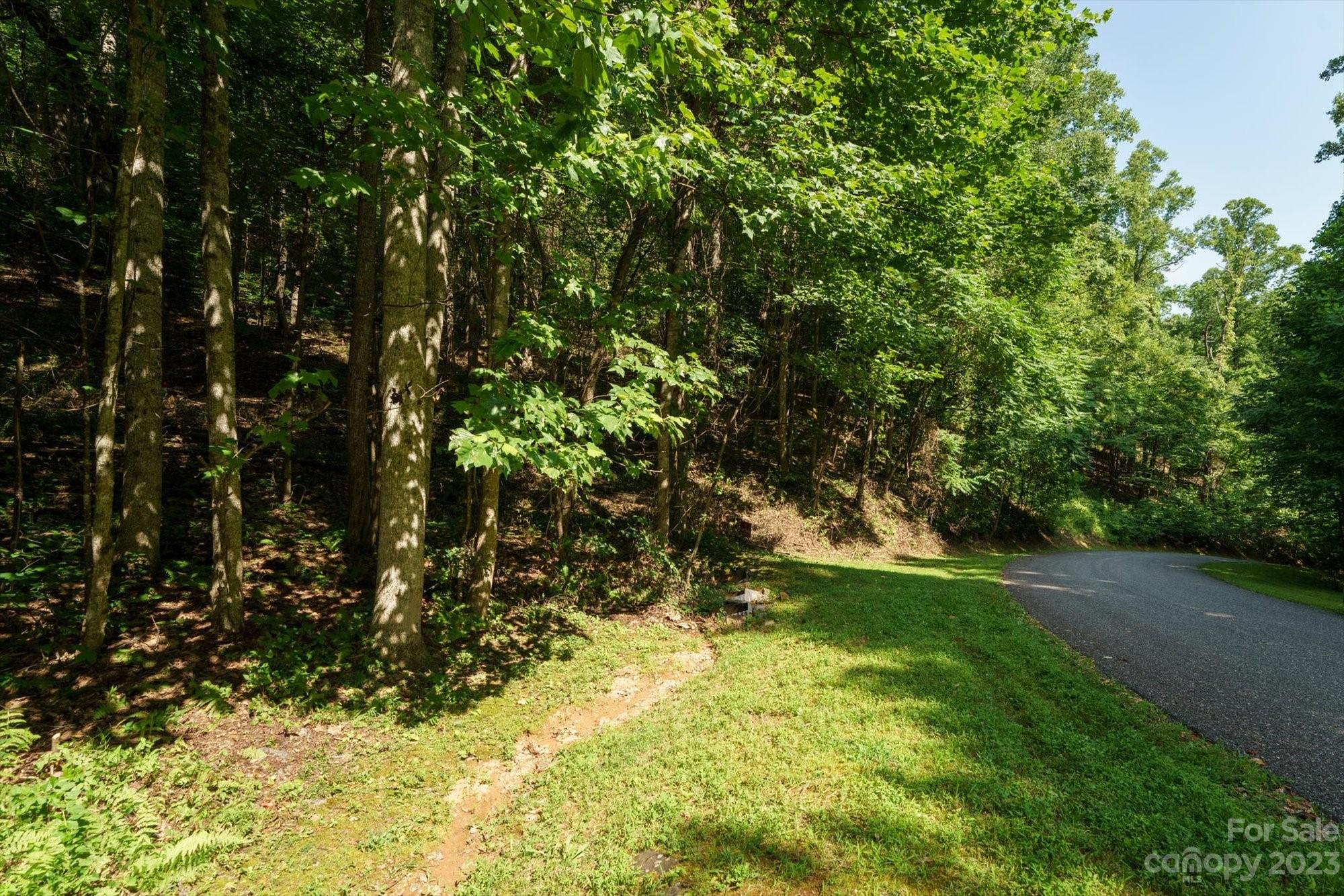 317 Boundary Tree Pass 14 Property Photo 11