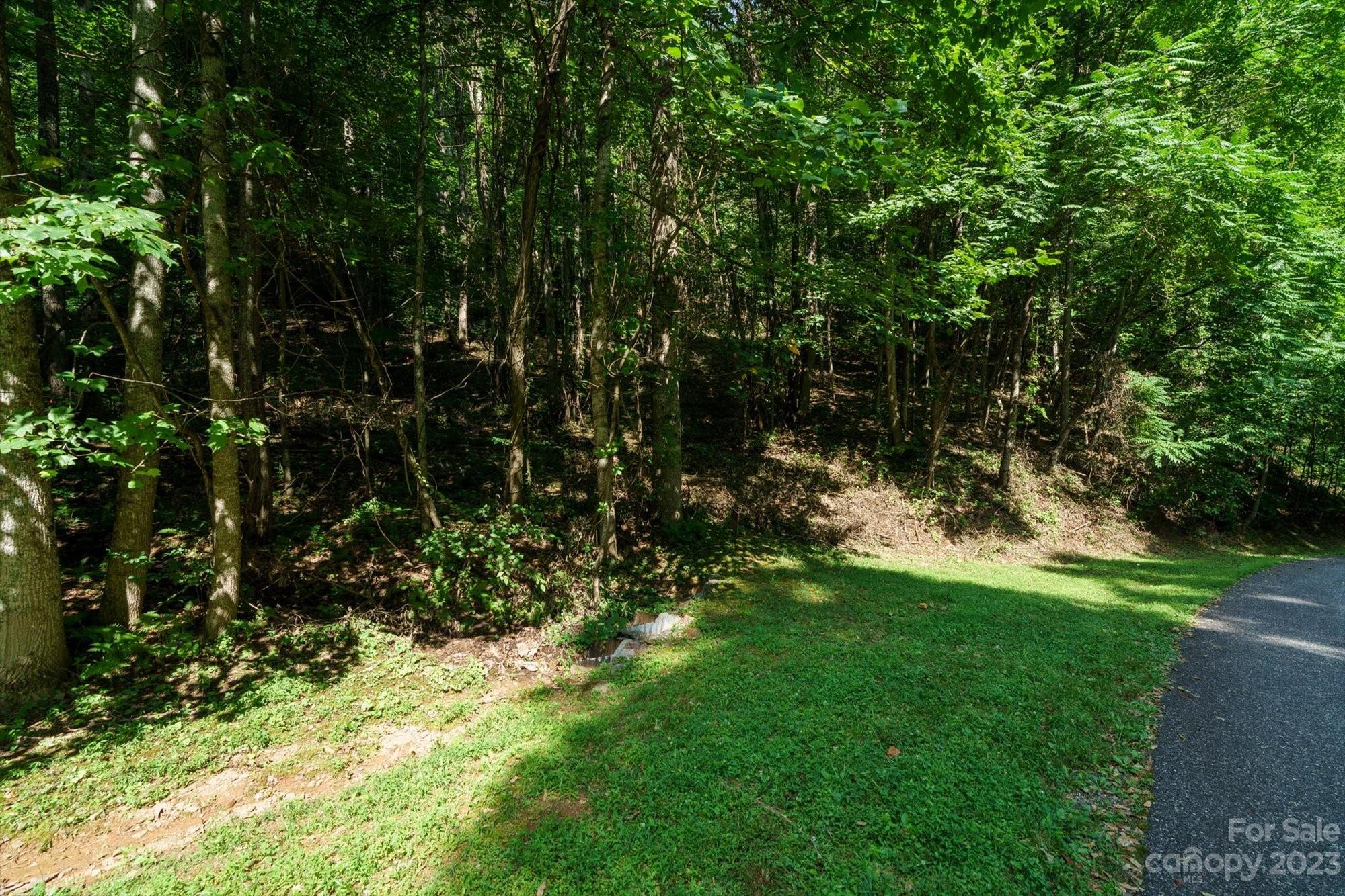 317 Boundary Tree Pass 14 Property Photo 12