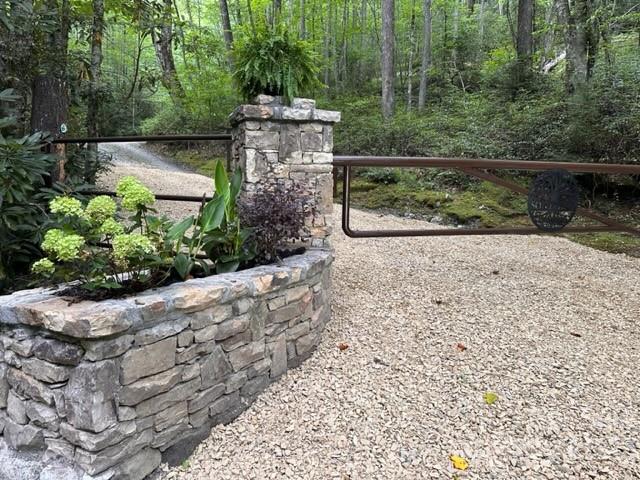 619 Speckled Feather Pass Property Photo 3