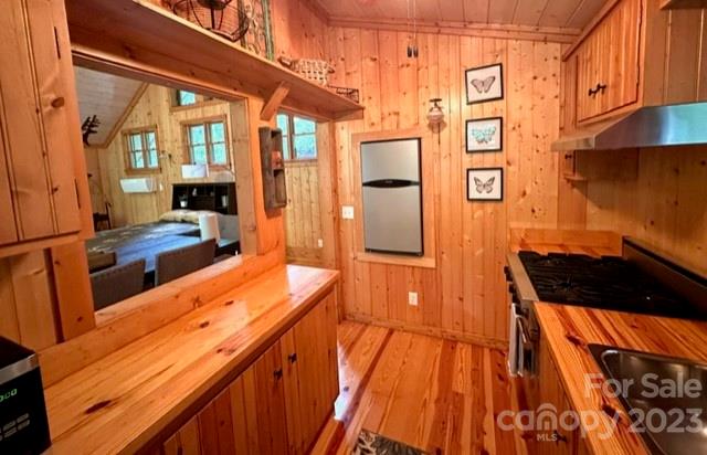 619 Speckled Feather Pass Property Photo 11