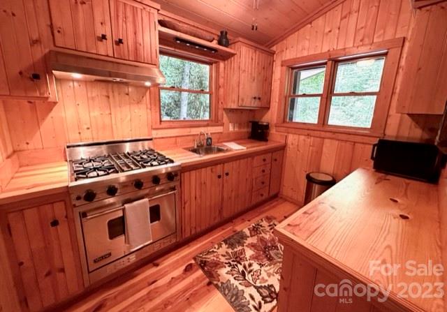 619 Speckled Feather Pass Property Photo 12