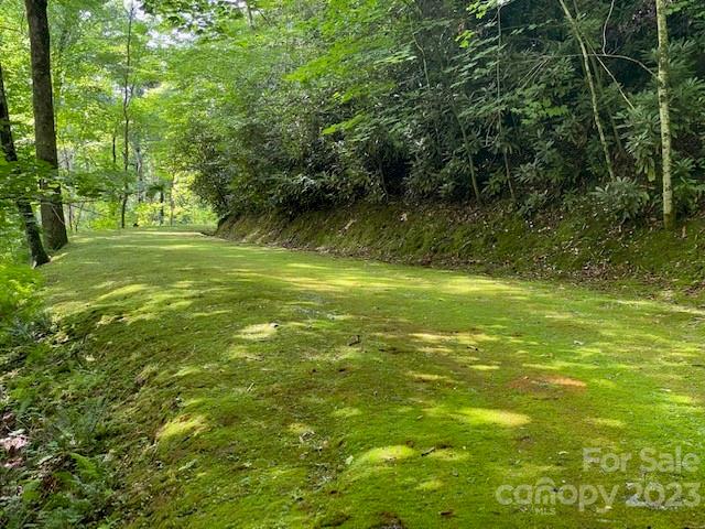 619 Speckled Feather Pass Property Photo 20