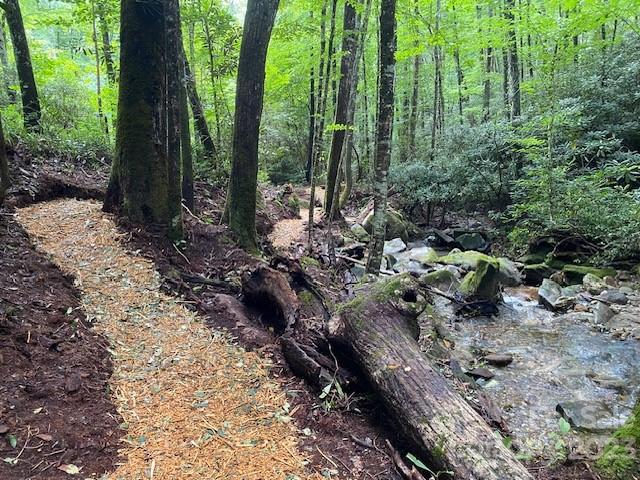 619 Speckled Feather Pass Property Photo 22