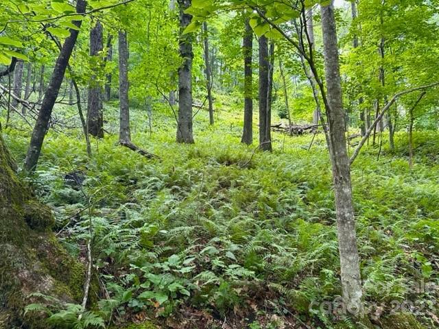 619 Speckled Feather Pass Property Photo 26