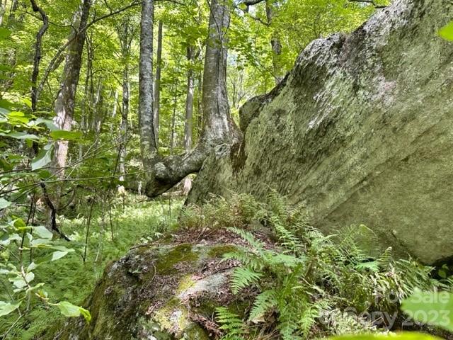 619 Speckled Feather Pass Property Photo 27