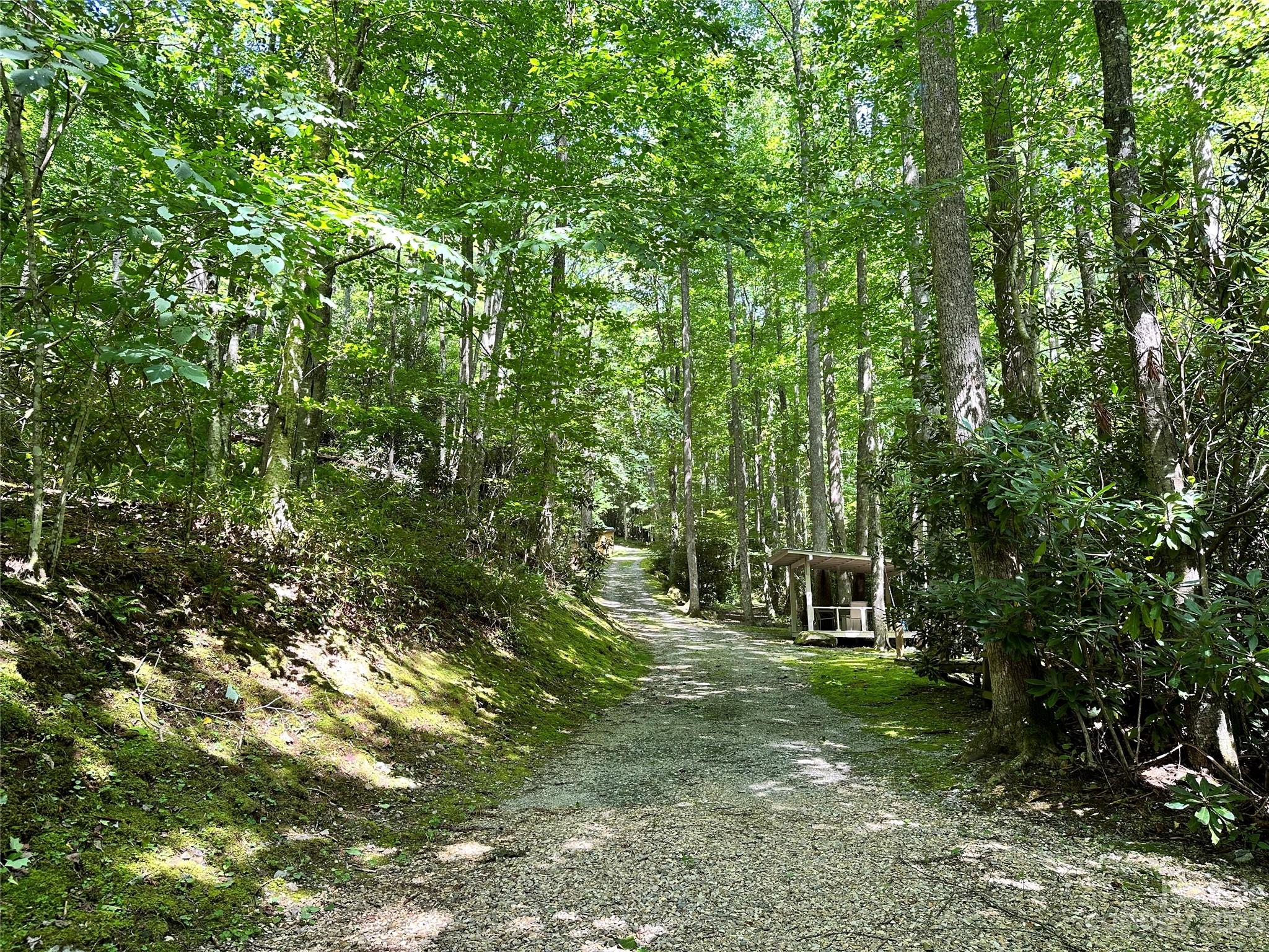619 Speckled Feather Pass Property Photo 30