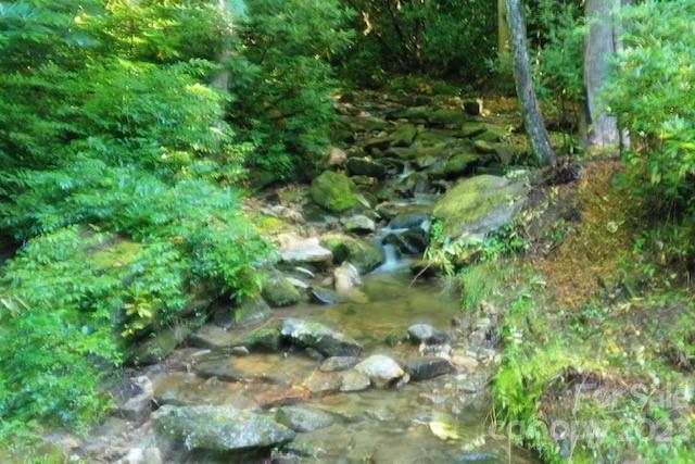619 Speckled Feather Pass Property Photo 31