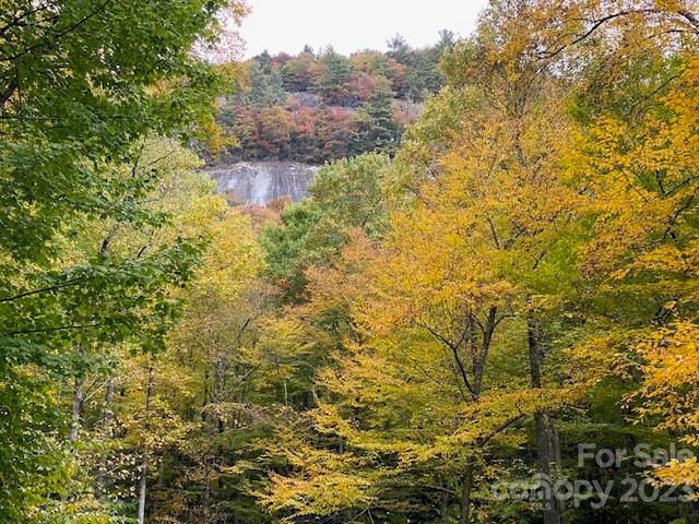 619 Speckled Feather Pass Property Photo 32