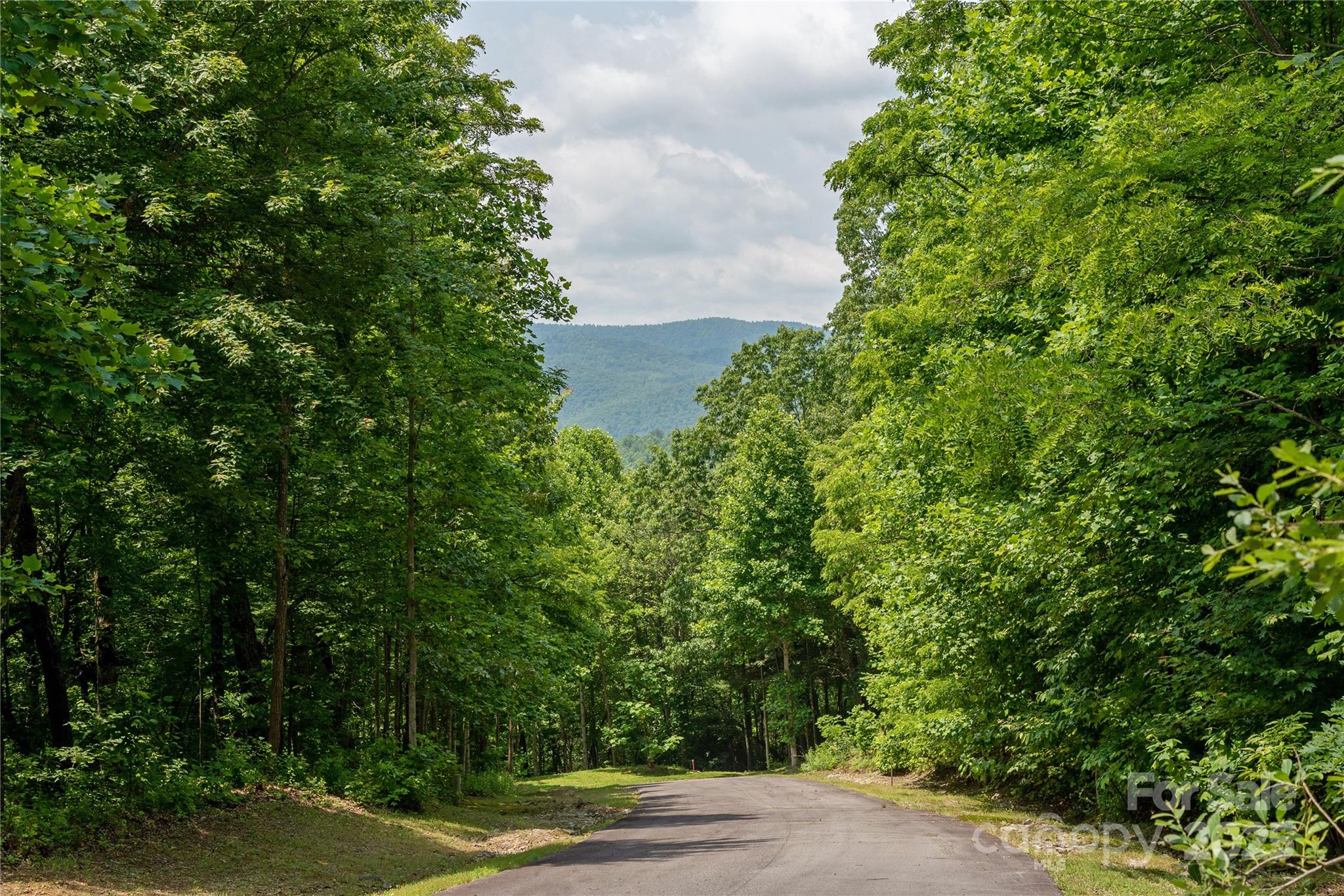 120 Ivywood Lane Property Photo 4