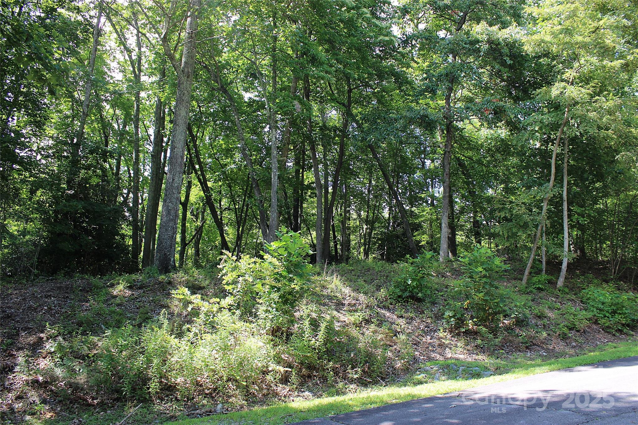 120 Ivywood Lane Property Photo 17