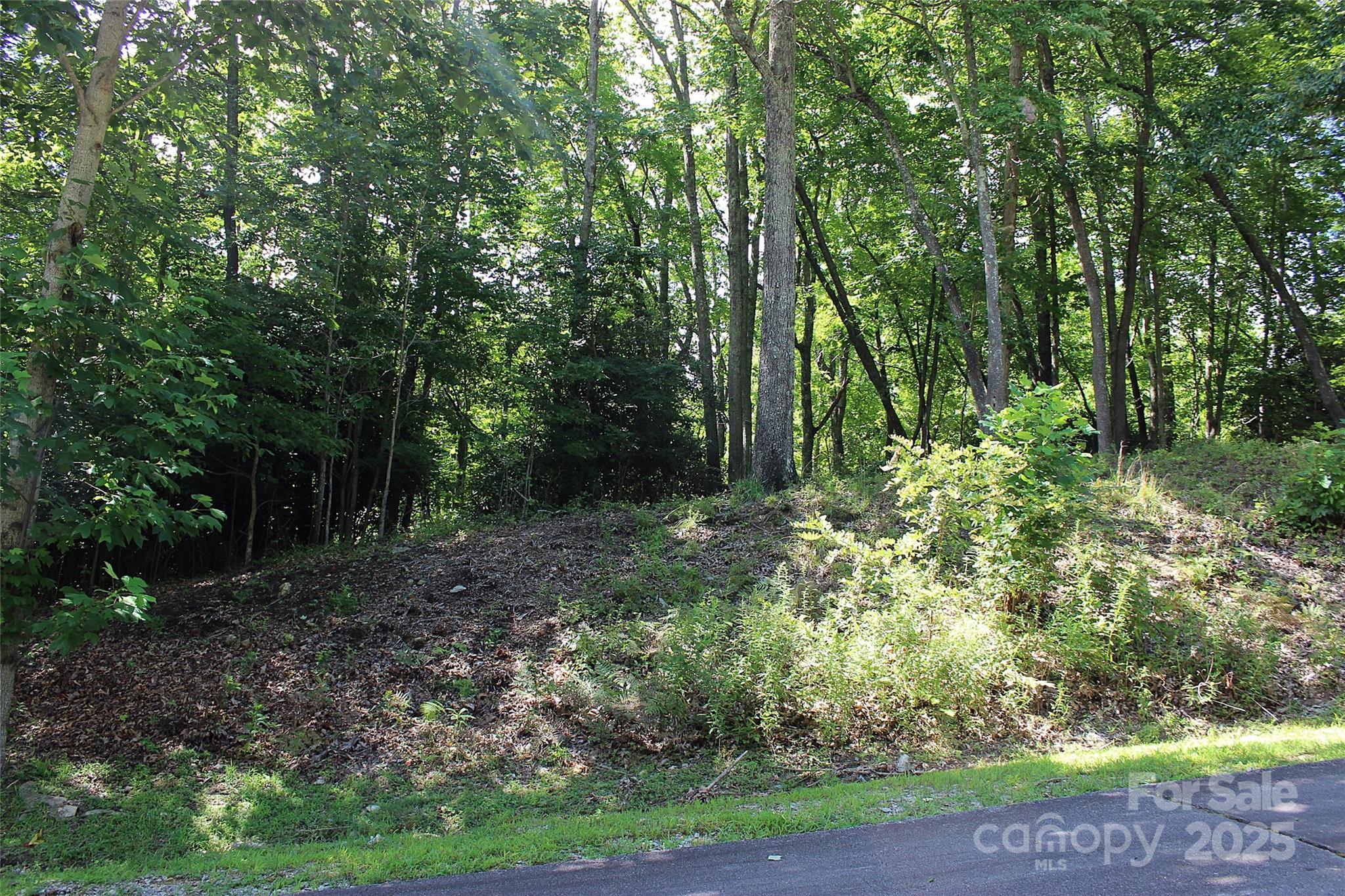 120 Ivywood Lane Property Photo 18