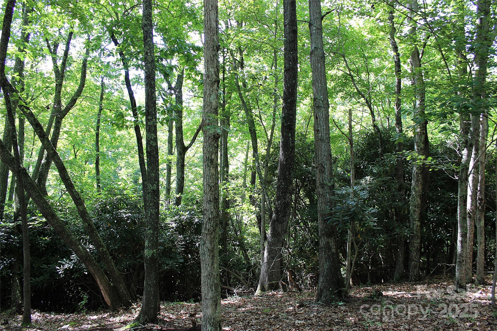 120 Ivywood Lane Property Photo 21