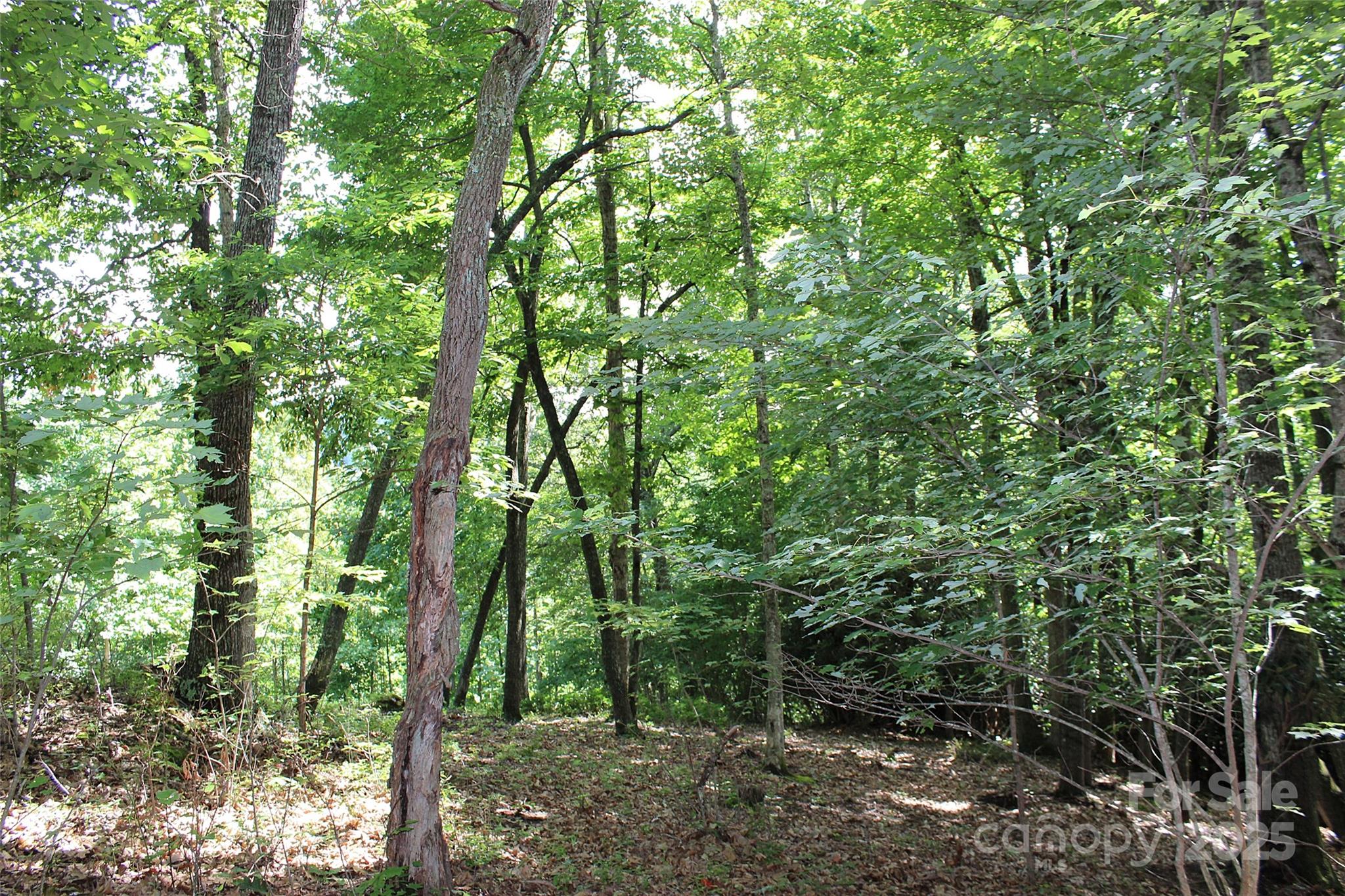 120 Ivywood Lane Property Photo 22