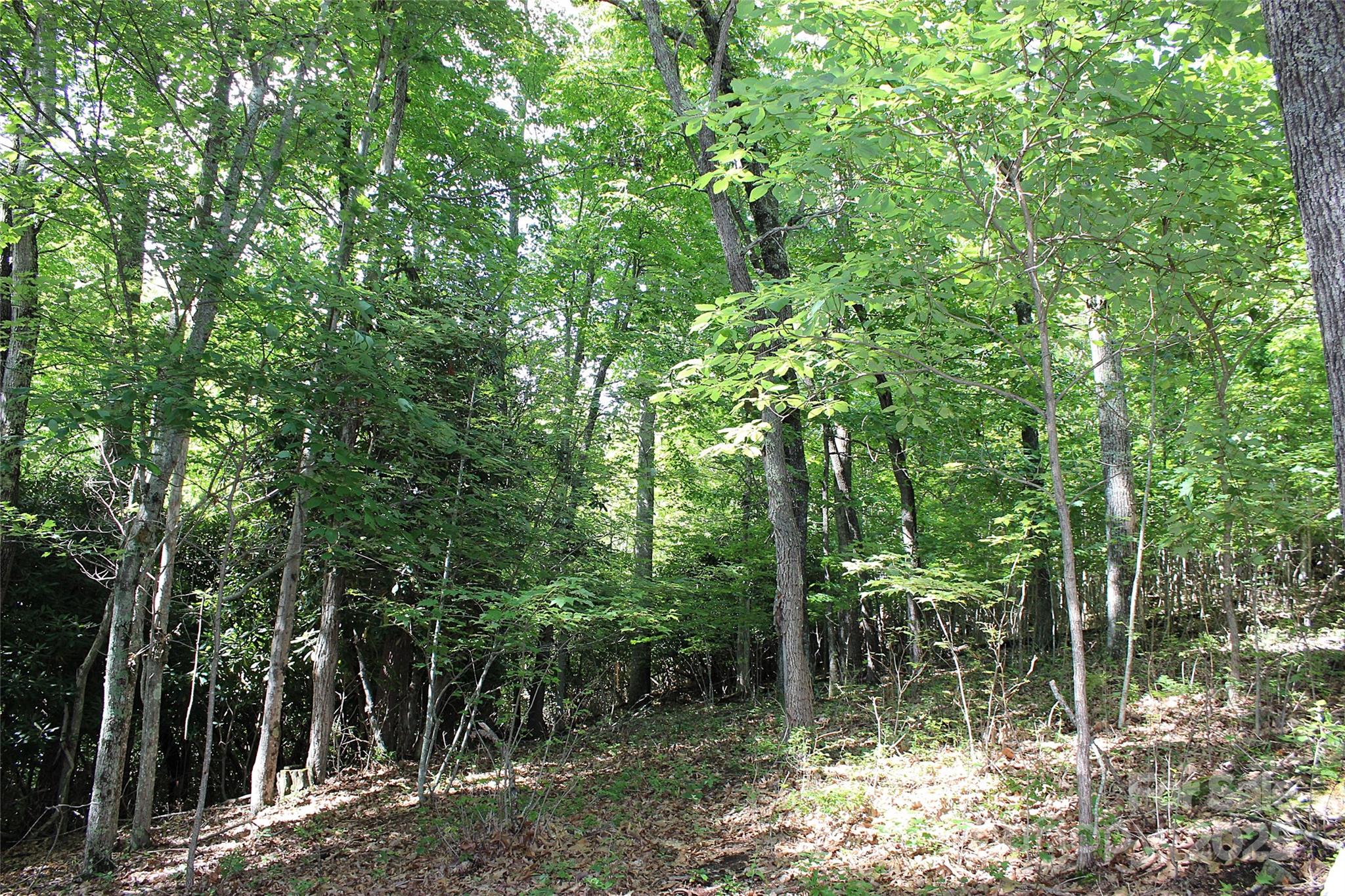 120 Ivywood Lane Property Photo 23