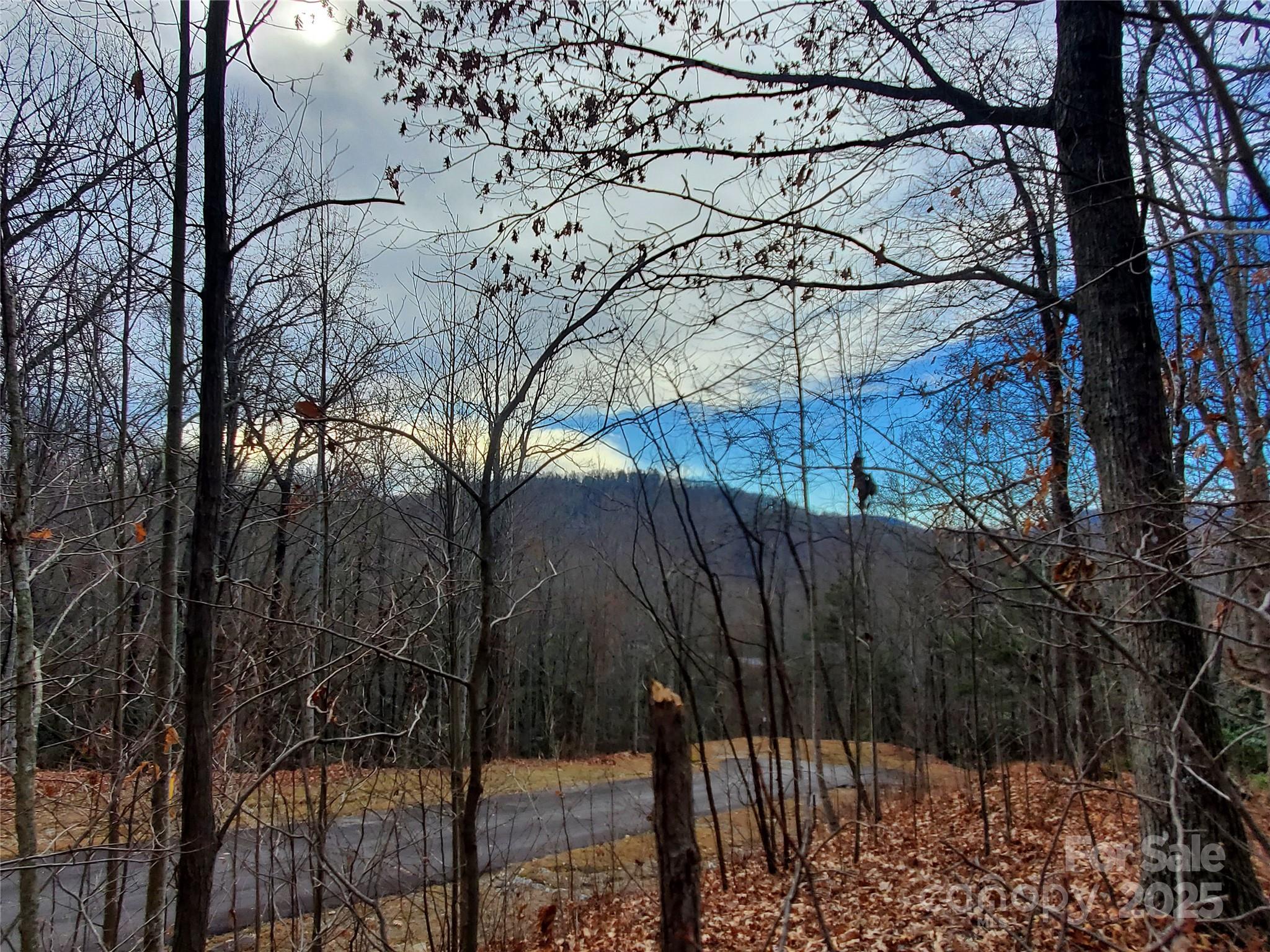 120 Ivywood Lane Property Photo 26