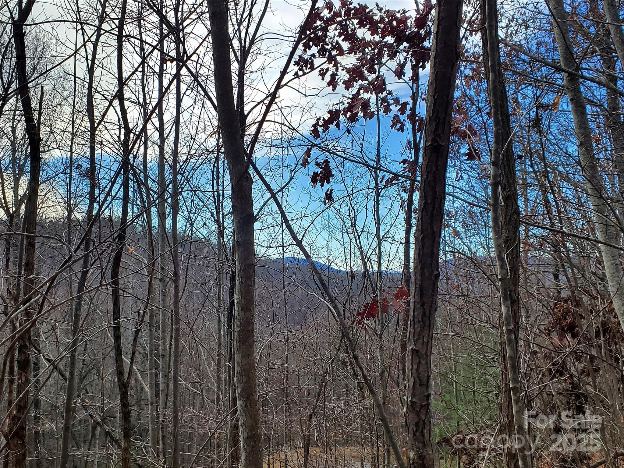 120 Ivywood Lane Property Photo 27