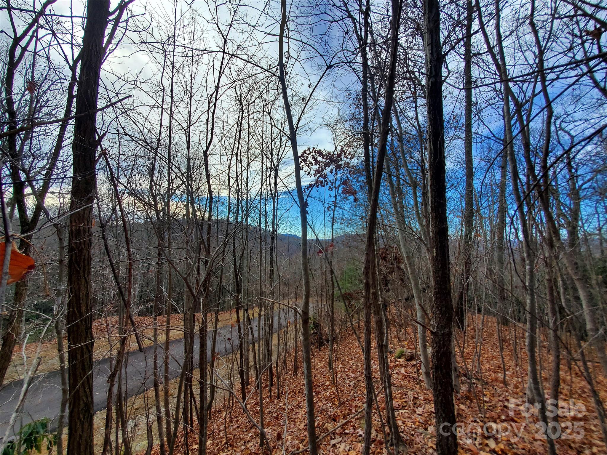 120 Ivywood Lane Property Photo 28