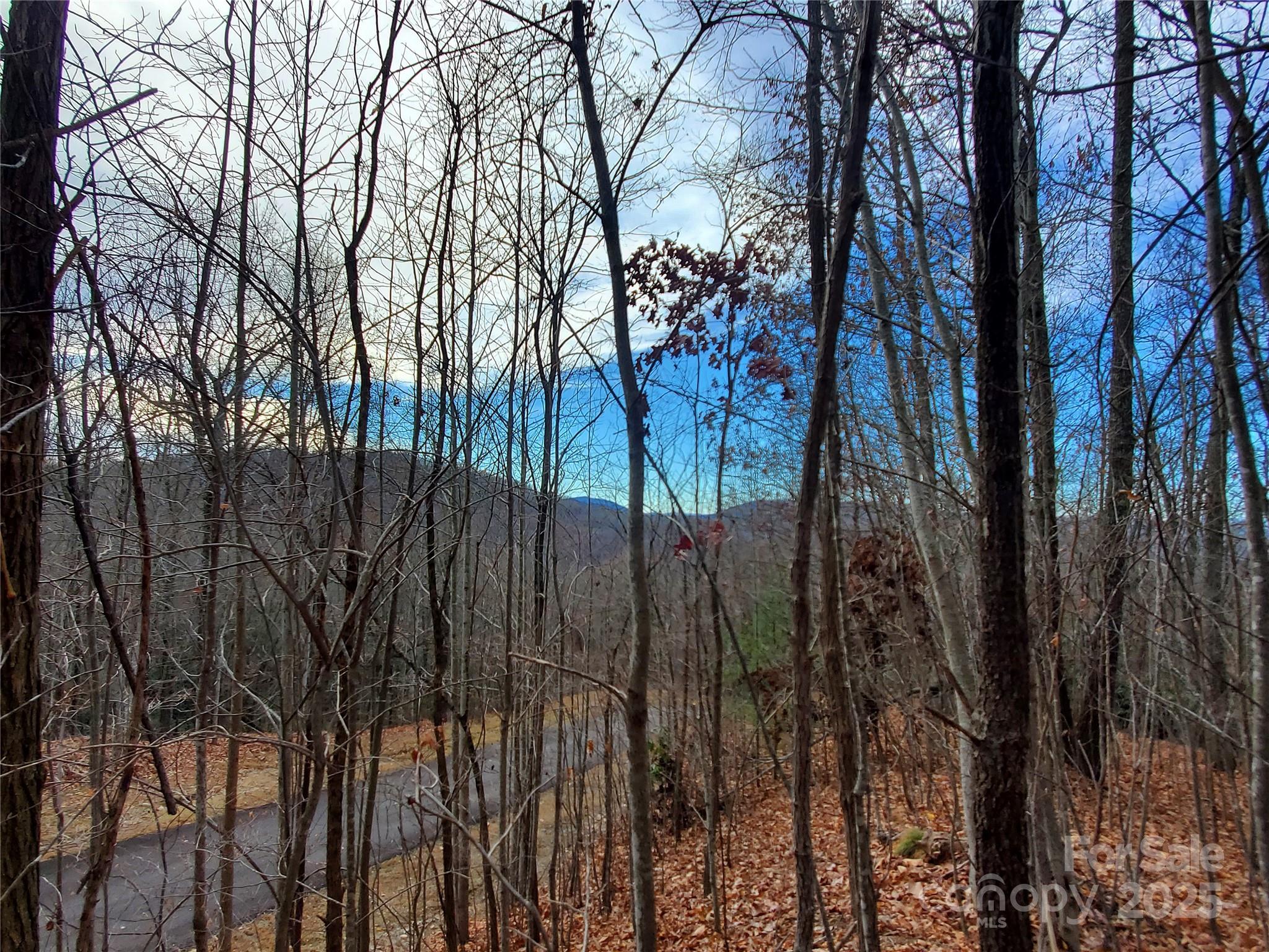 120 Ivywood Lane Property Photo 29