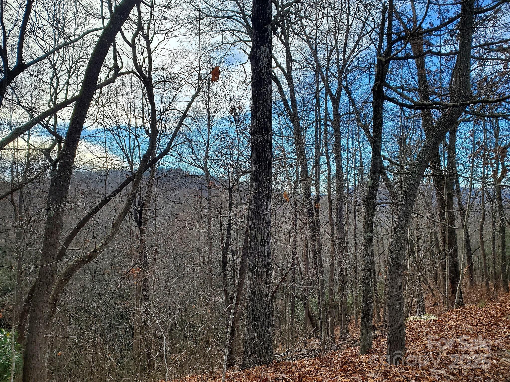 120 Ivywood Lane Property Photo 30