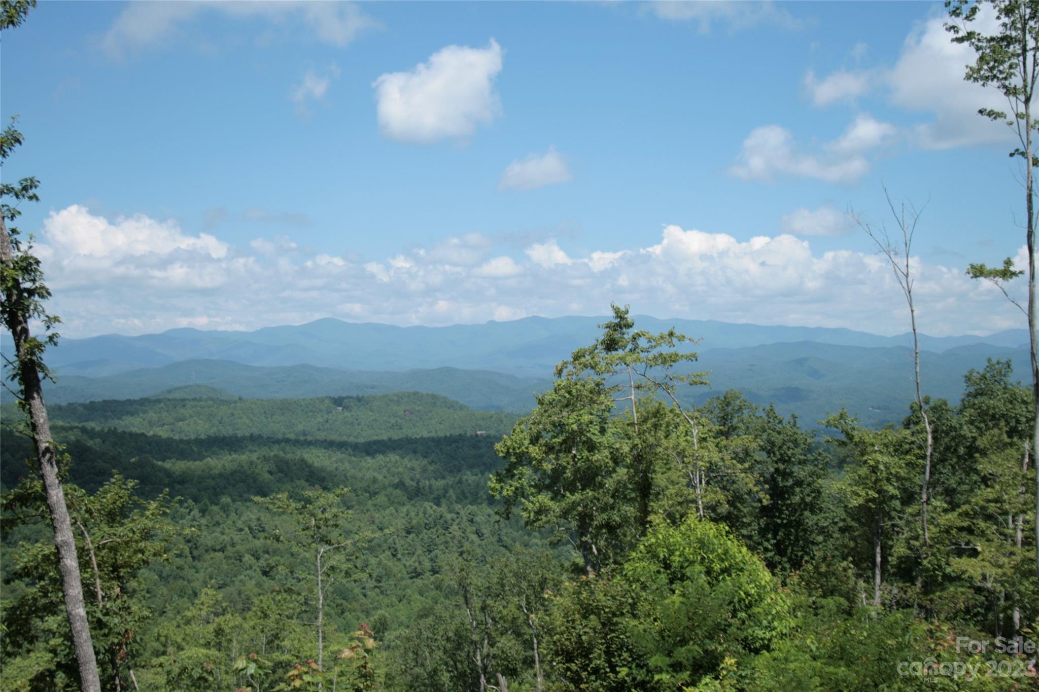 Tbd Nancy Mountain Road Property Photo 3
