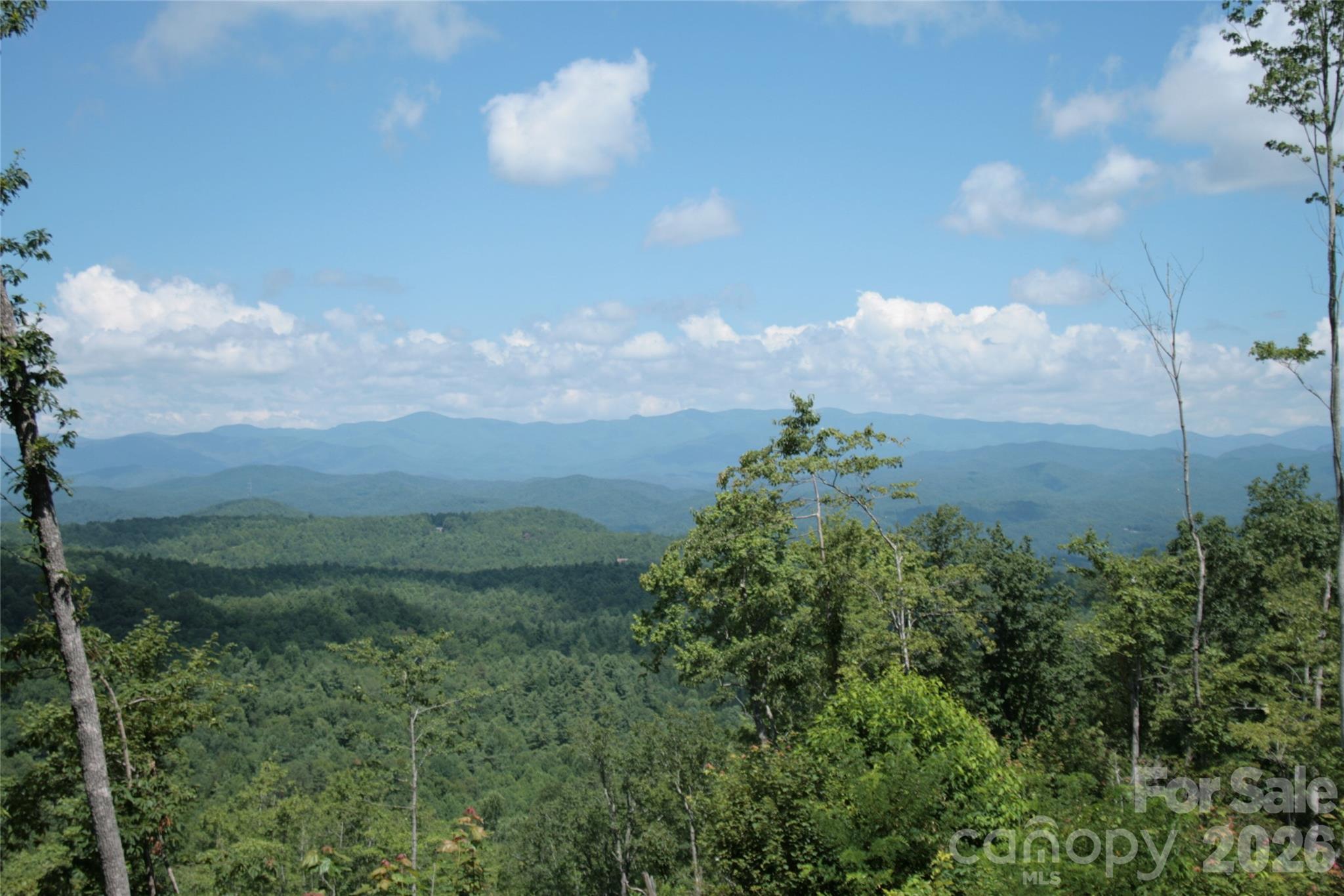 Tbd Nancy Mountain Road Property Photo 3