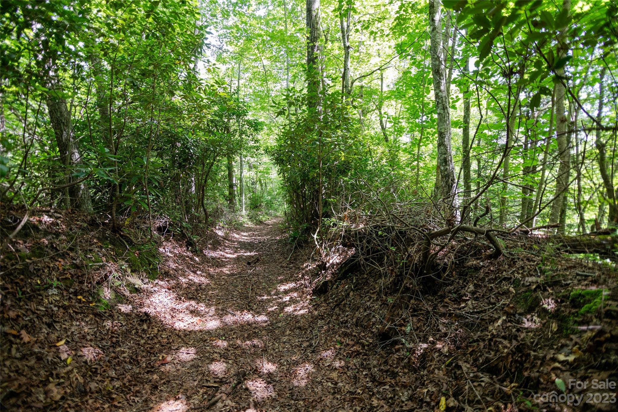 Tbd Nancy Mountain Road Property Photo 5