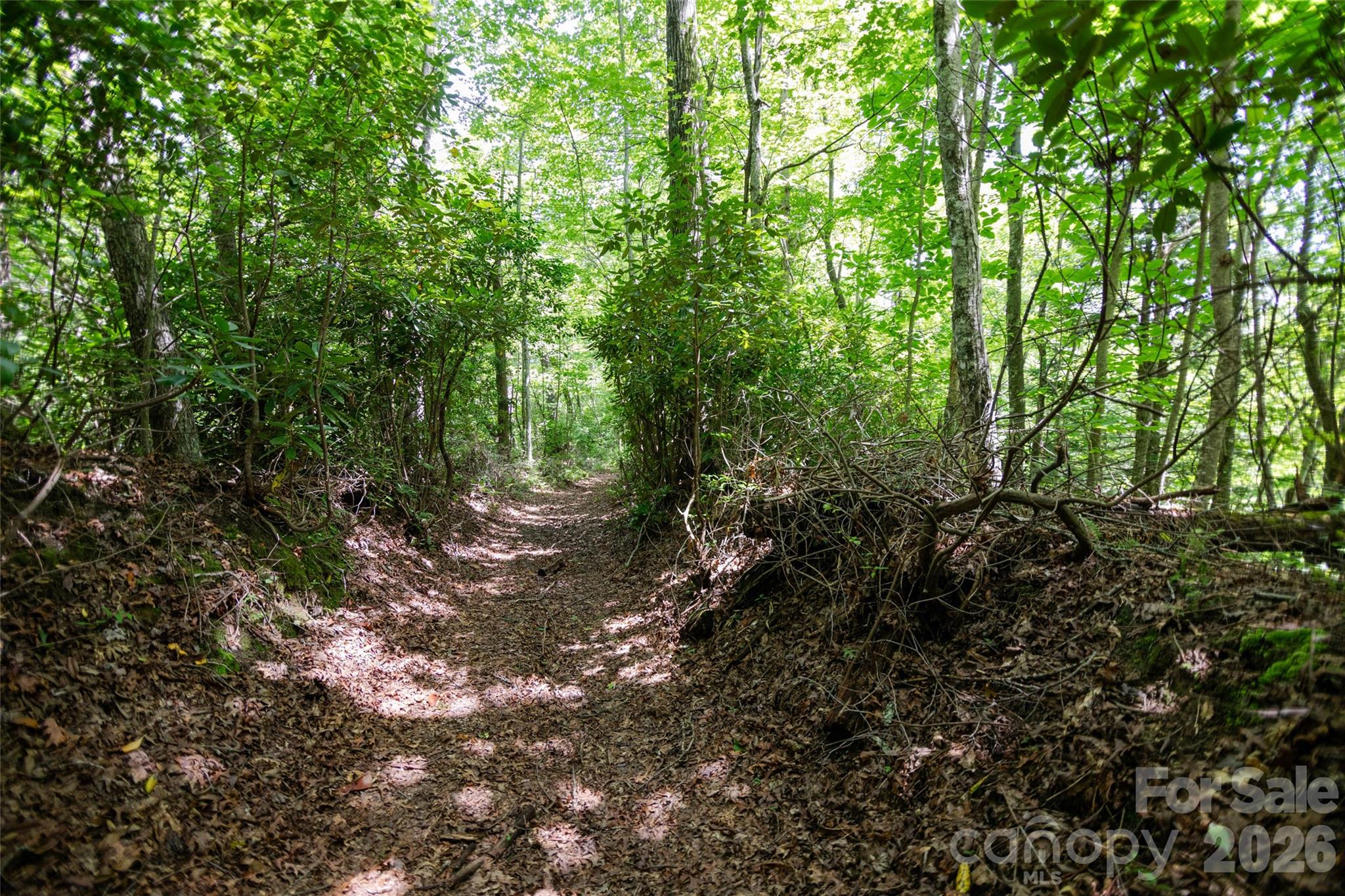 Tbd Nancy Mountain Road Property Photo 5
