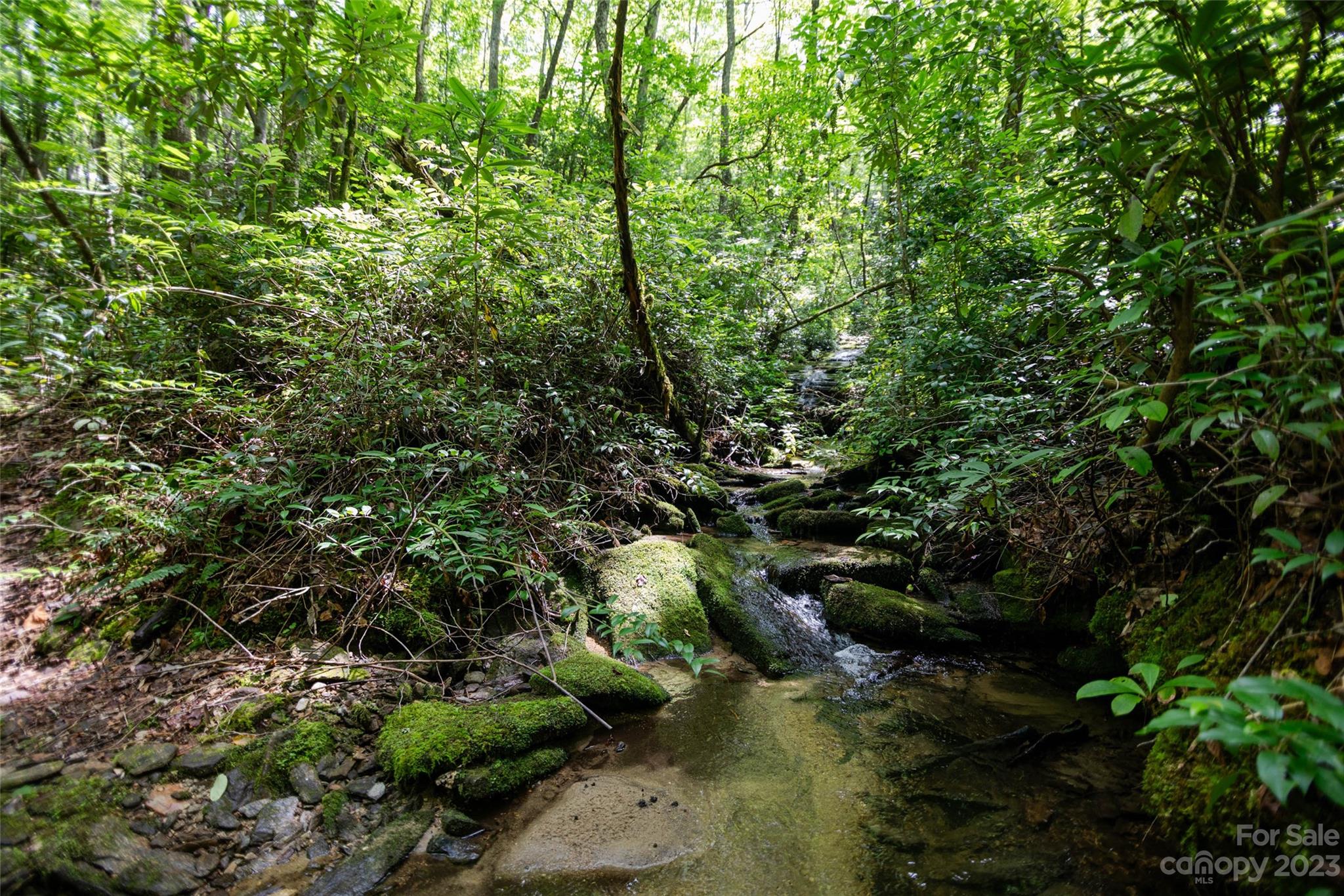 Tbd Nancy Mountain Road Property Photo 6