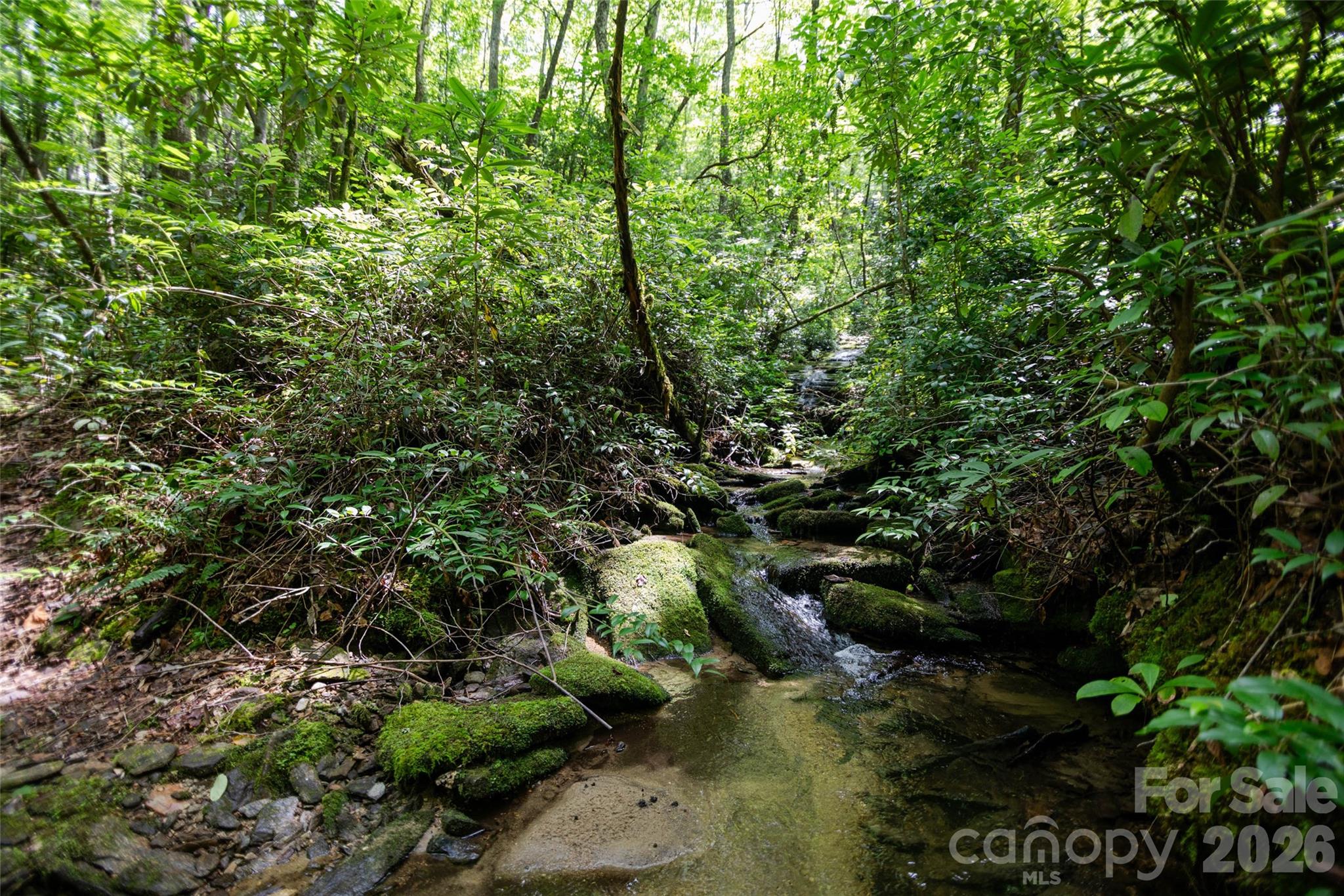 Tbd Nancy Mountain Road Property Photo 6