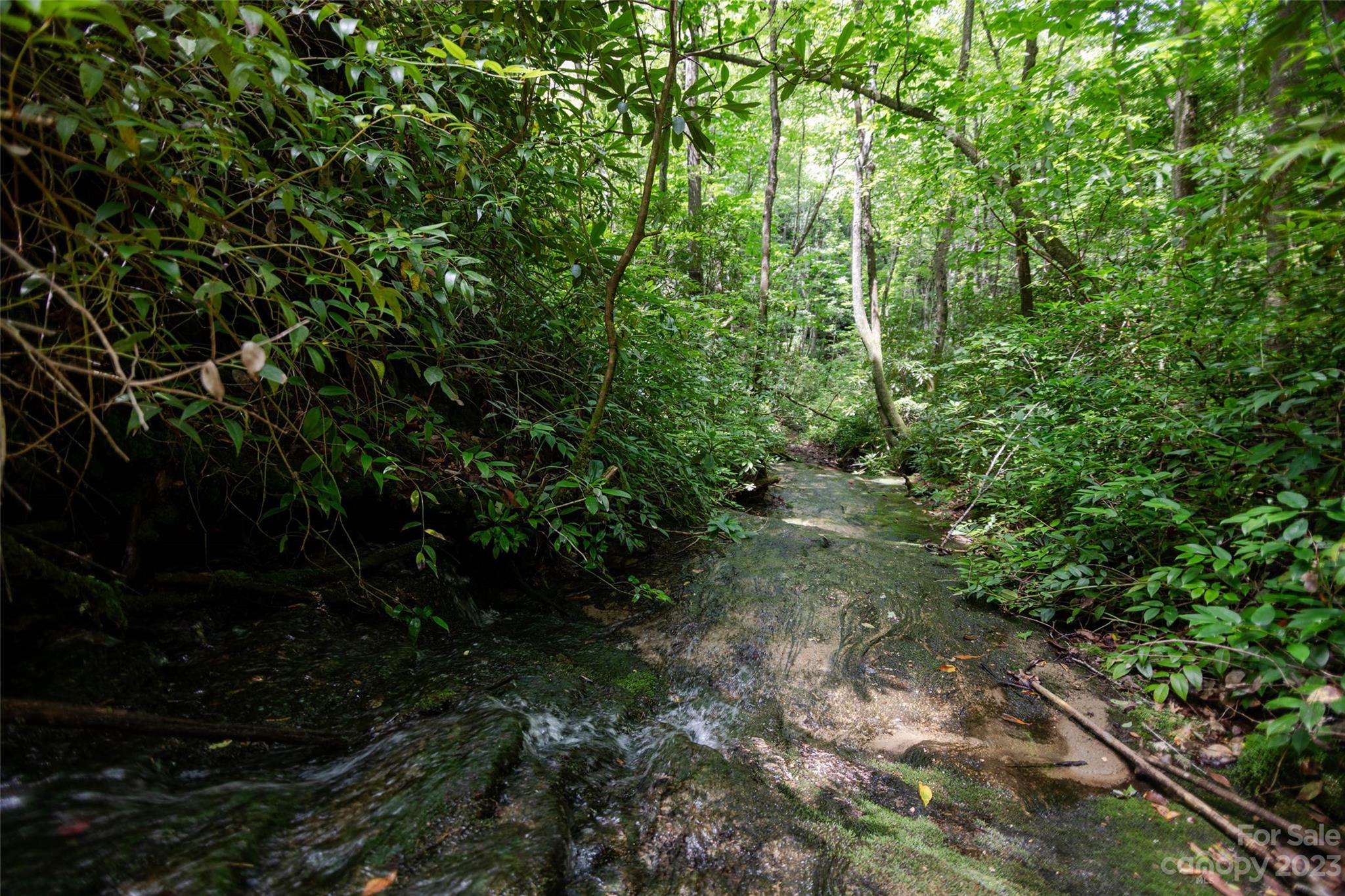 Tbd Nancy Mountain Road Property Photo 18