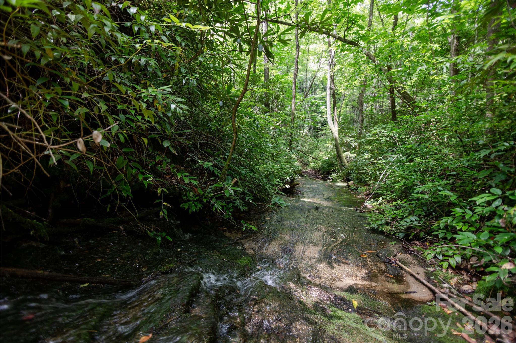 Tbd Nancy Mountain Road Property Photo 18