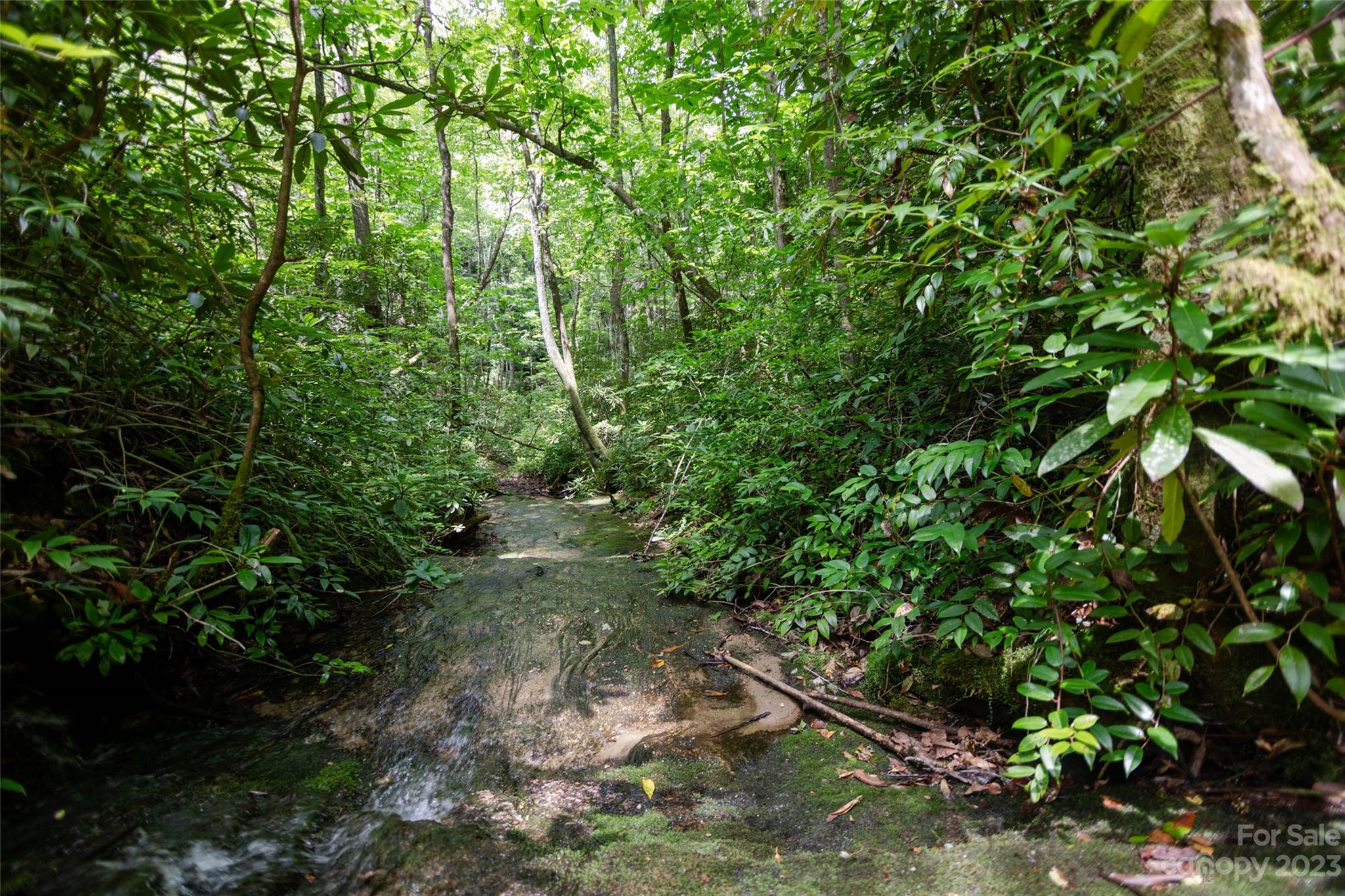 Tbd Nancy Mountain Road Property Photo 19